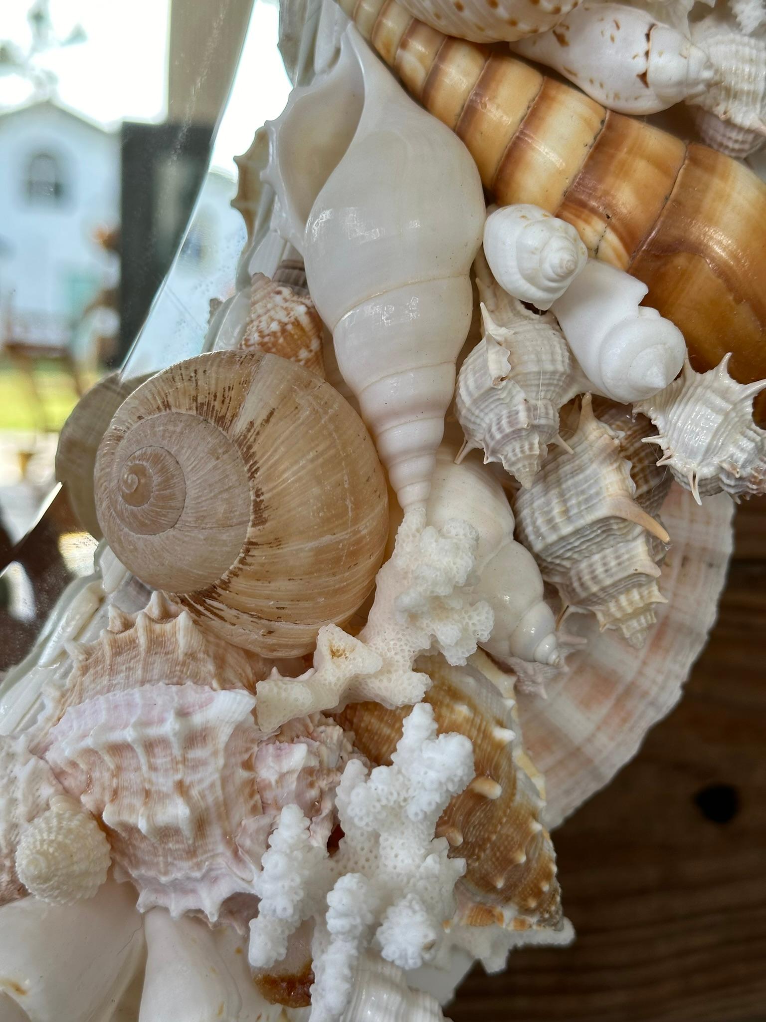 Natural Sculptural Coastal Seashell Encrusted 