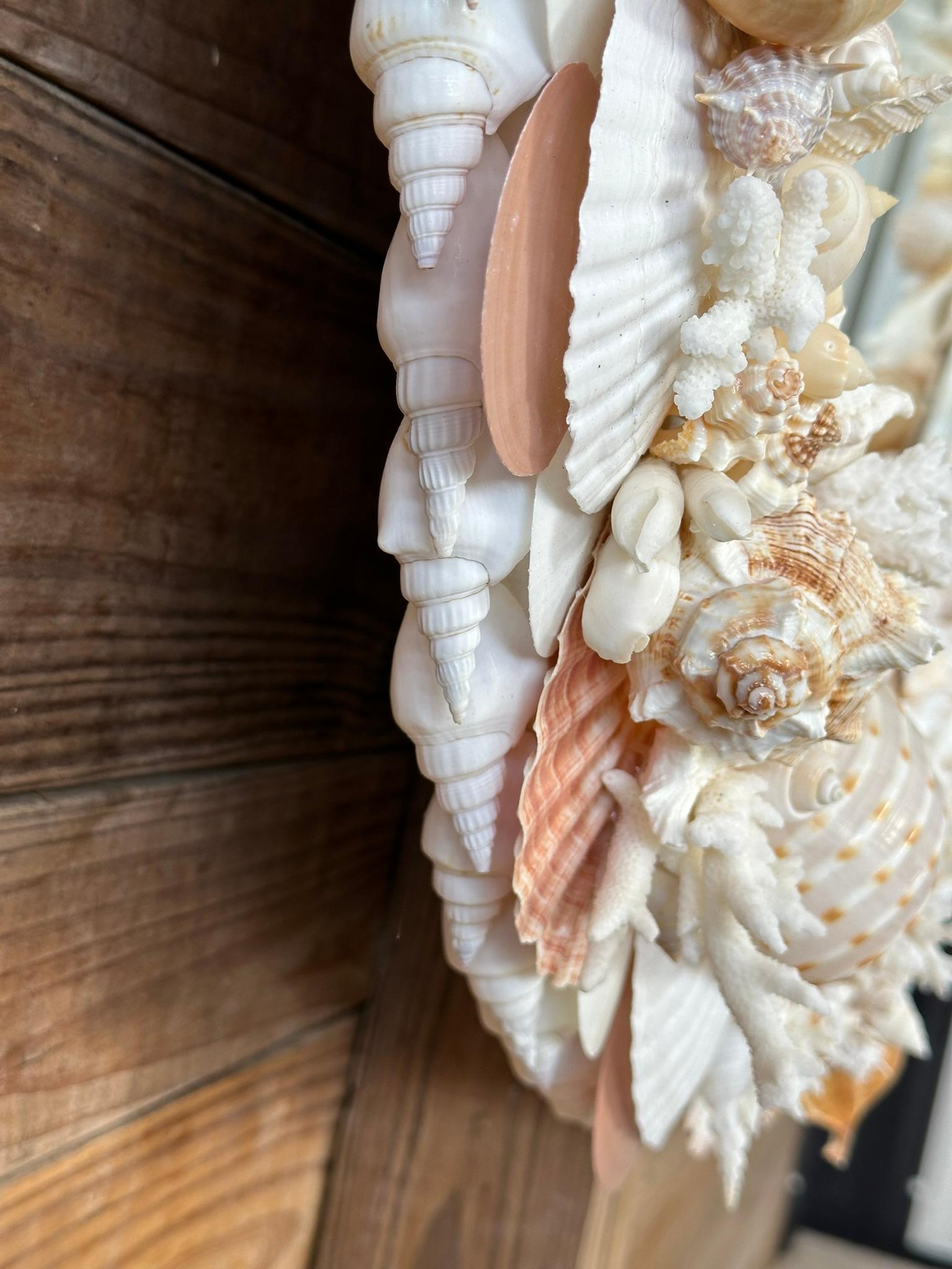 Natural Sculptural Coastal Seashell Encrusted 