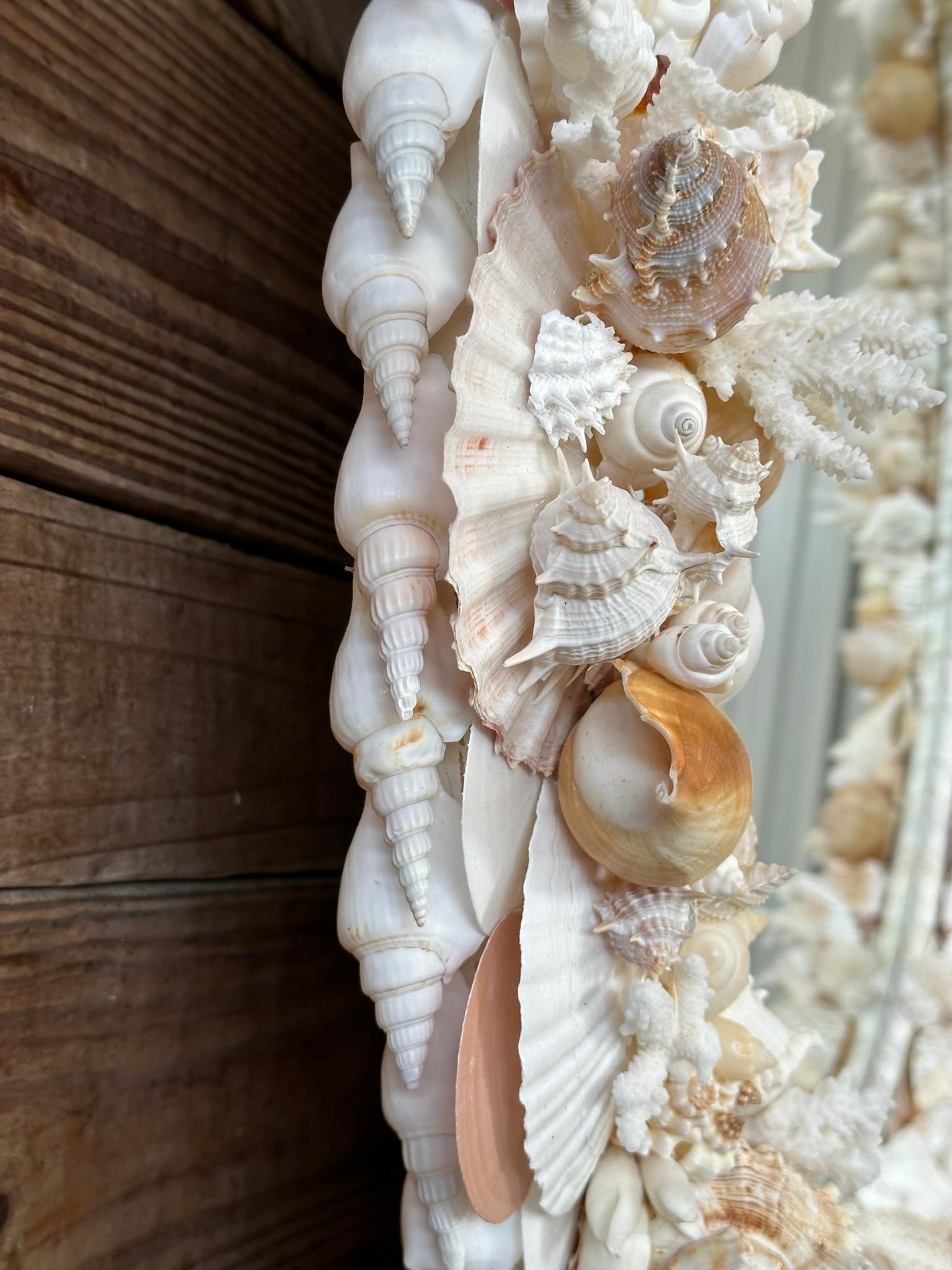 Natural Sculptural Coastal Seashell Encrusted 