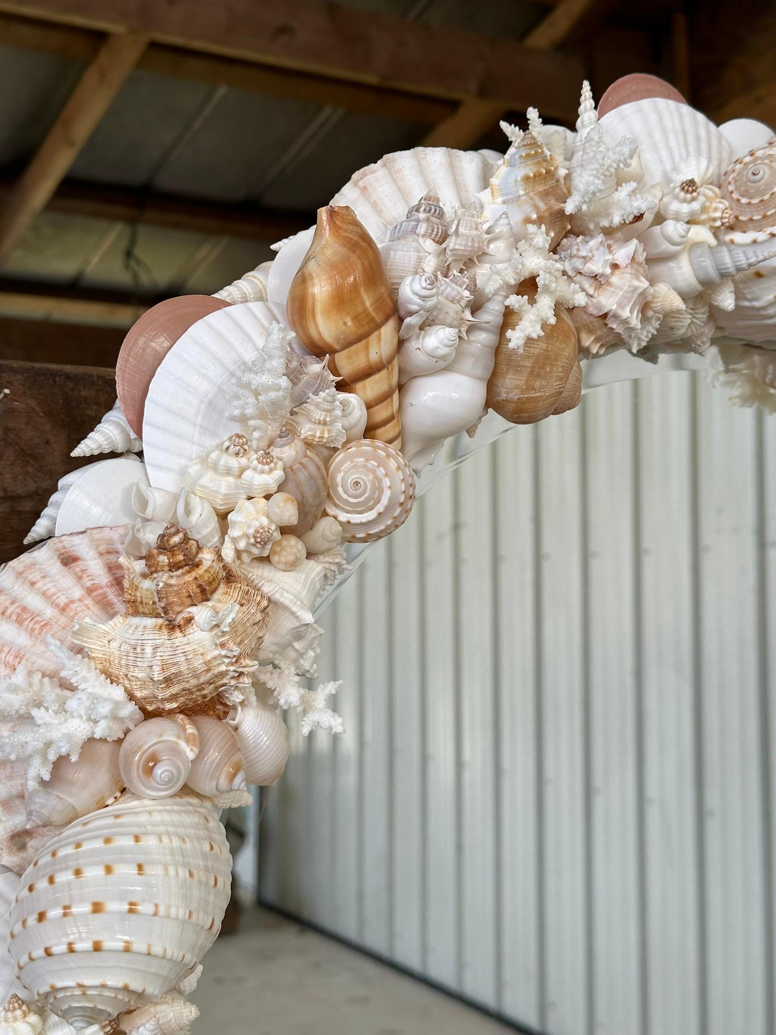 Natural Sculptural Coastal Seashell Encrusted 