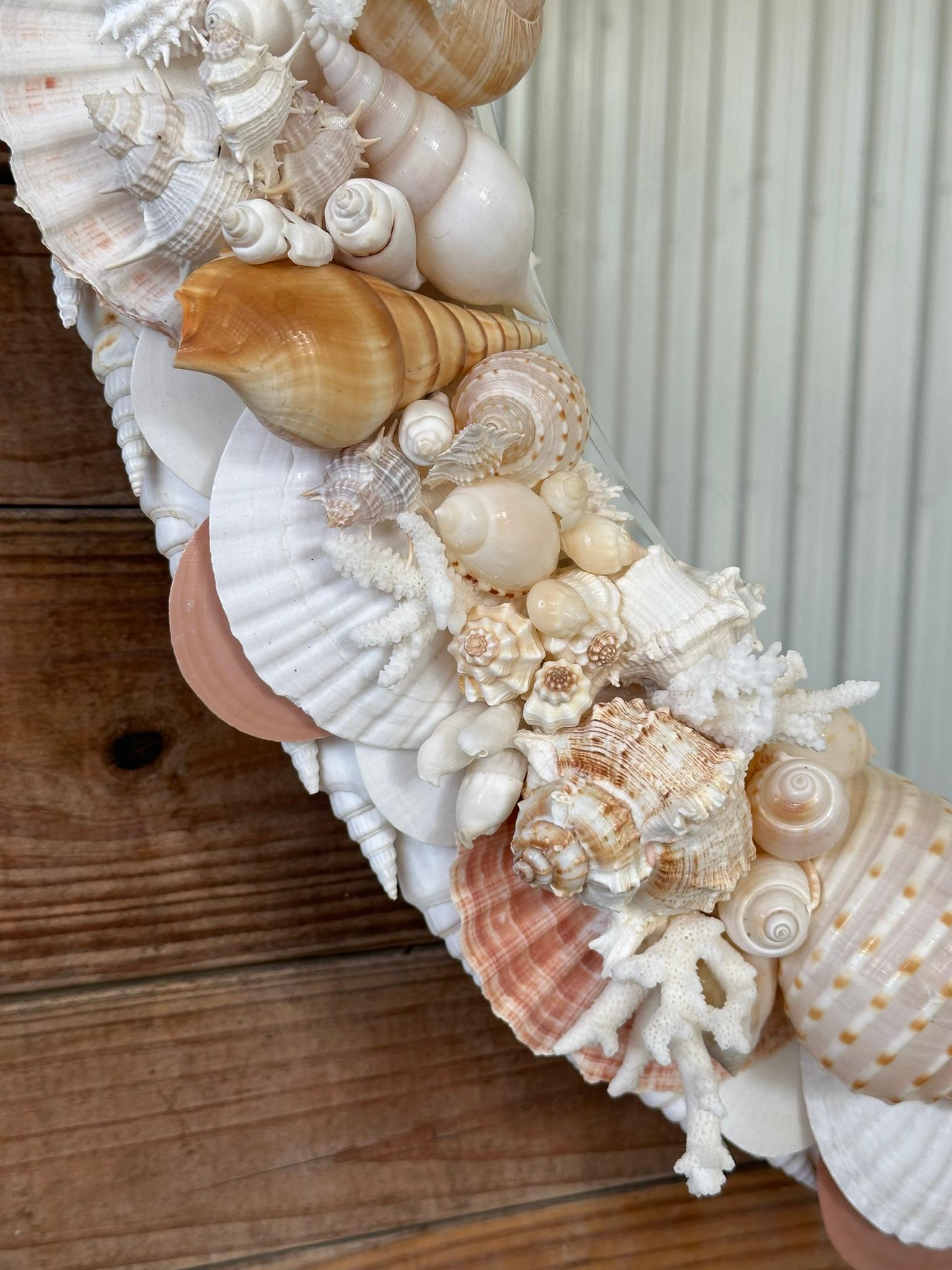 Other Natural Sculptural Coastal Seashell Encrusted 