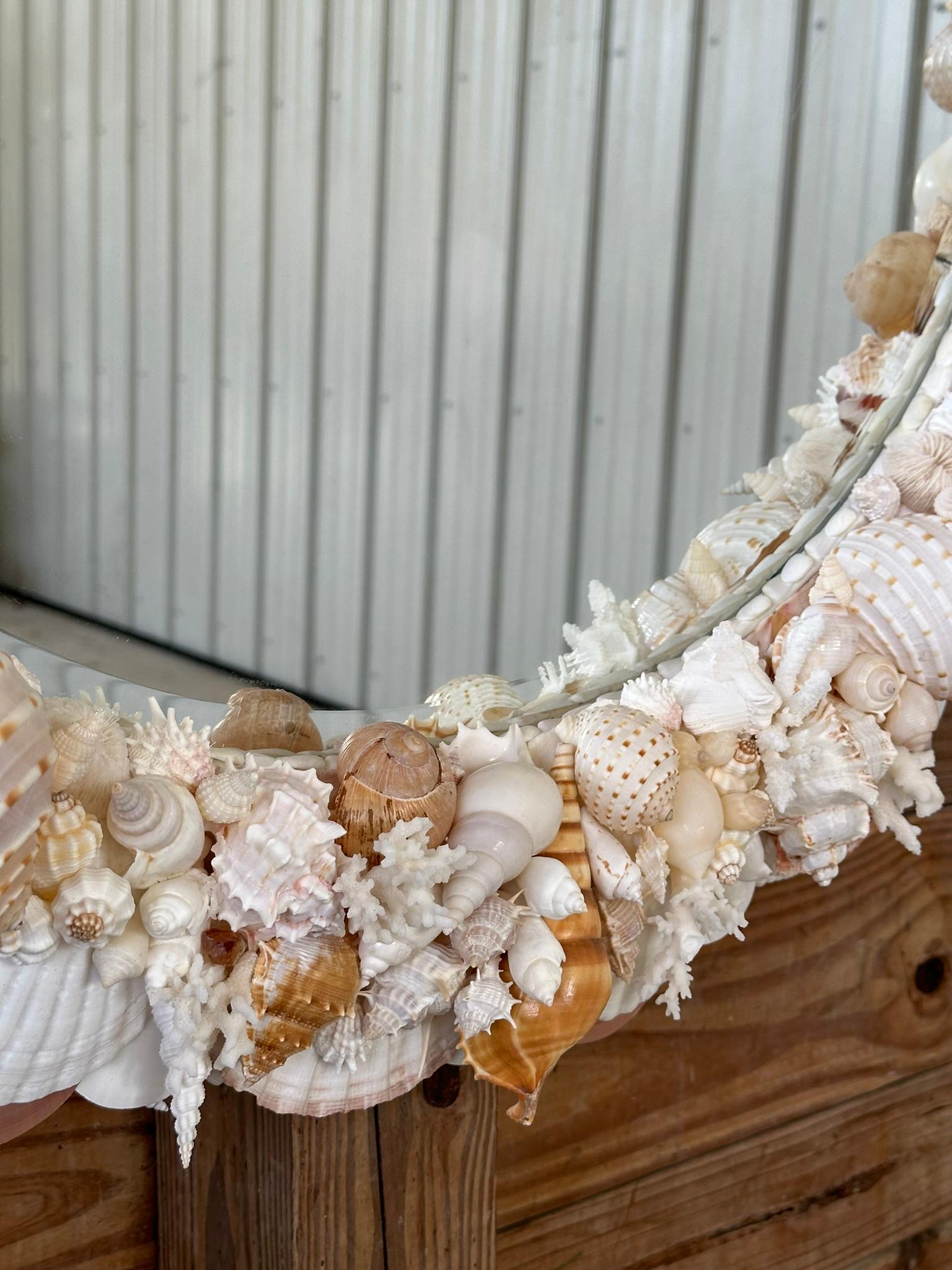 North American Natural Sculptural Coastal Seashell Encrusted 