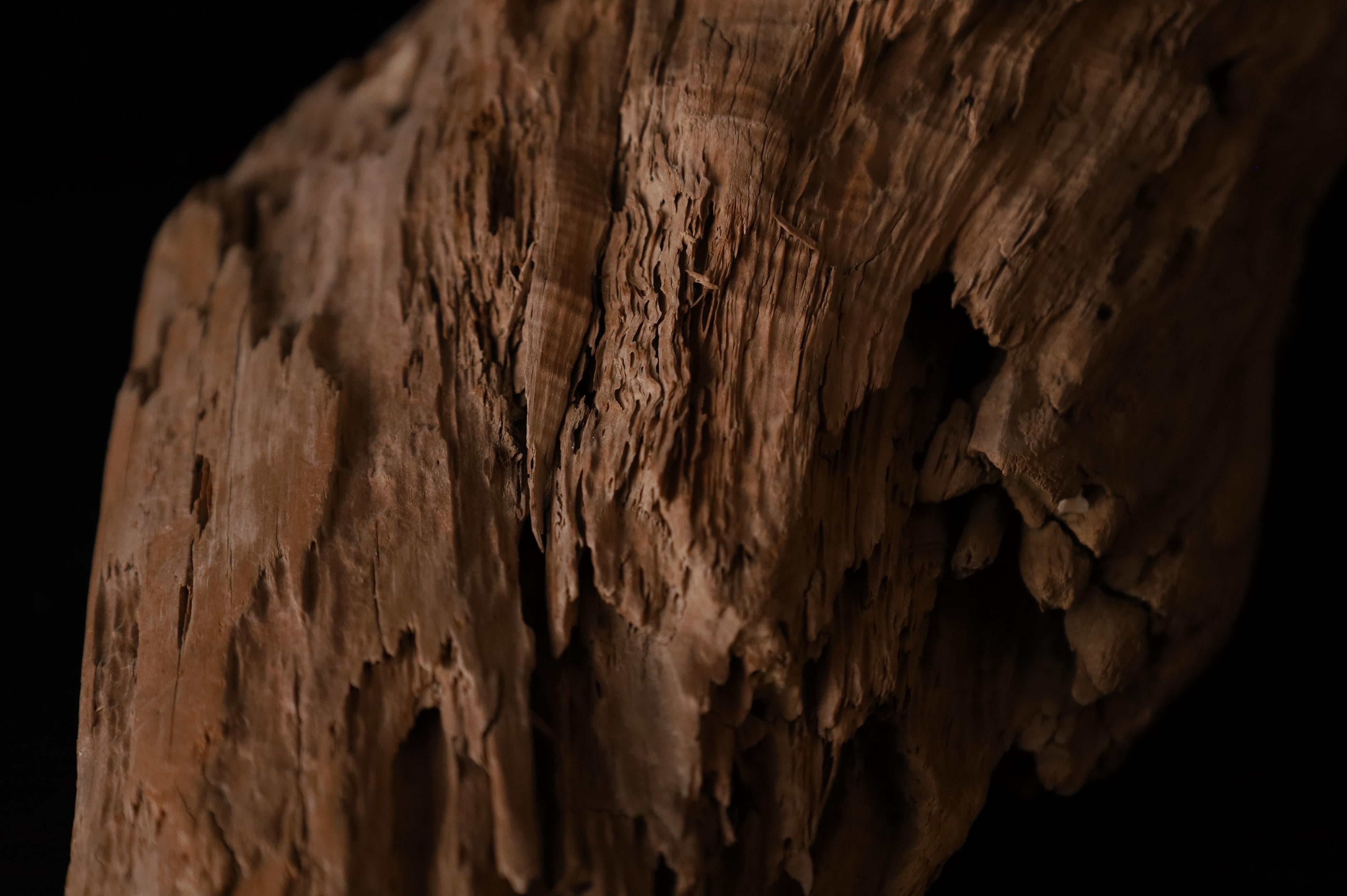 Pezzo scultoreo Nature - Dinamica decorativa Old Sun Driftwood sbiancata in vendita 5