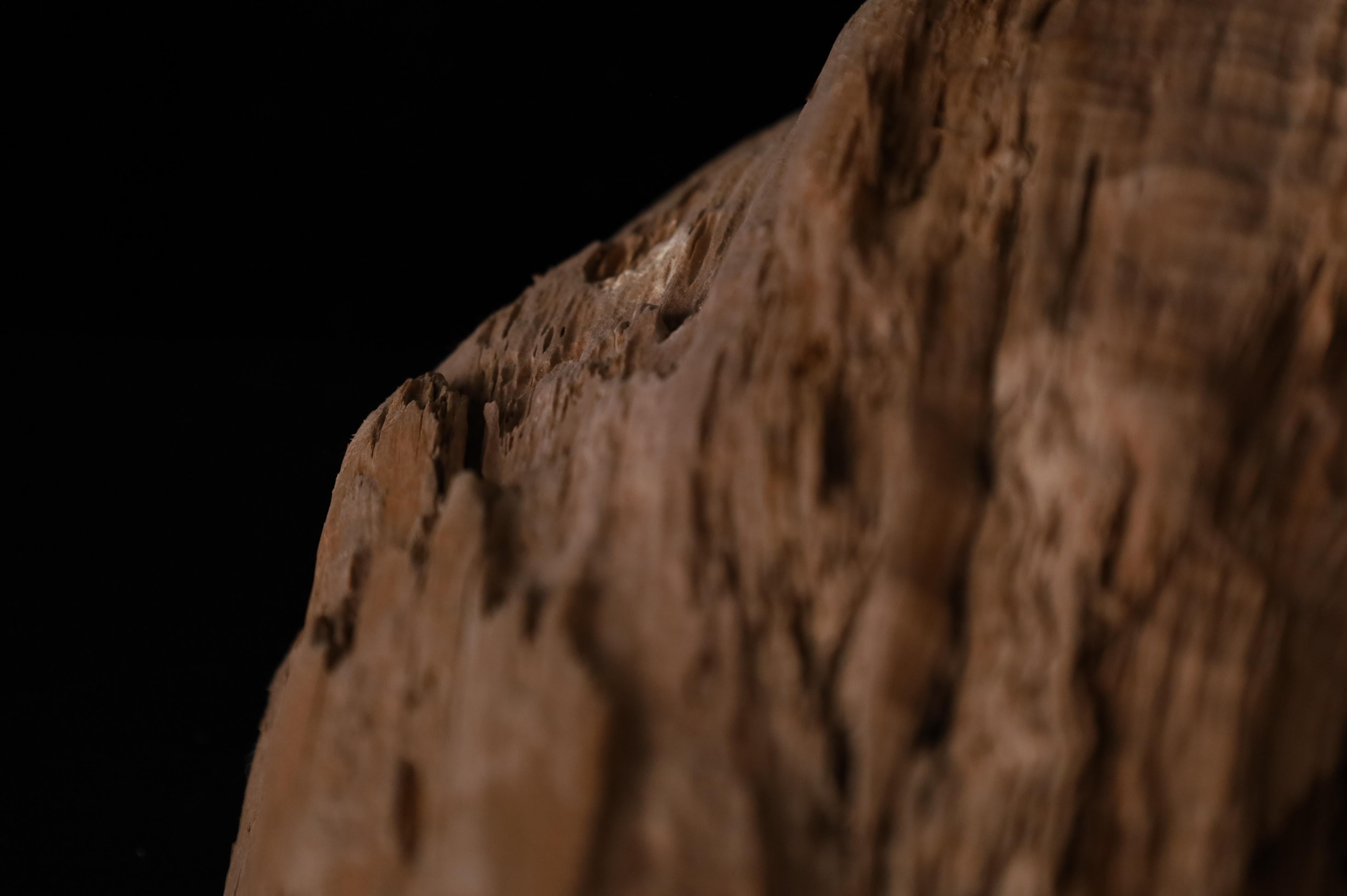 Pezzo scultoreo Nature - Dinamica decorativa Old Sun Driftwood sbiancata in vendita 7