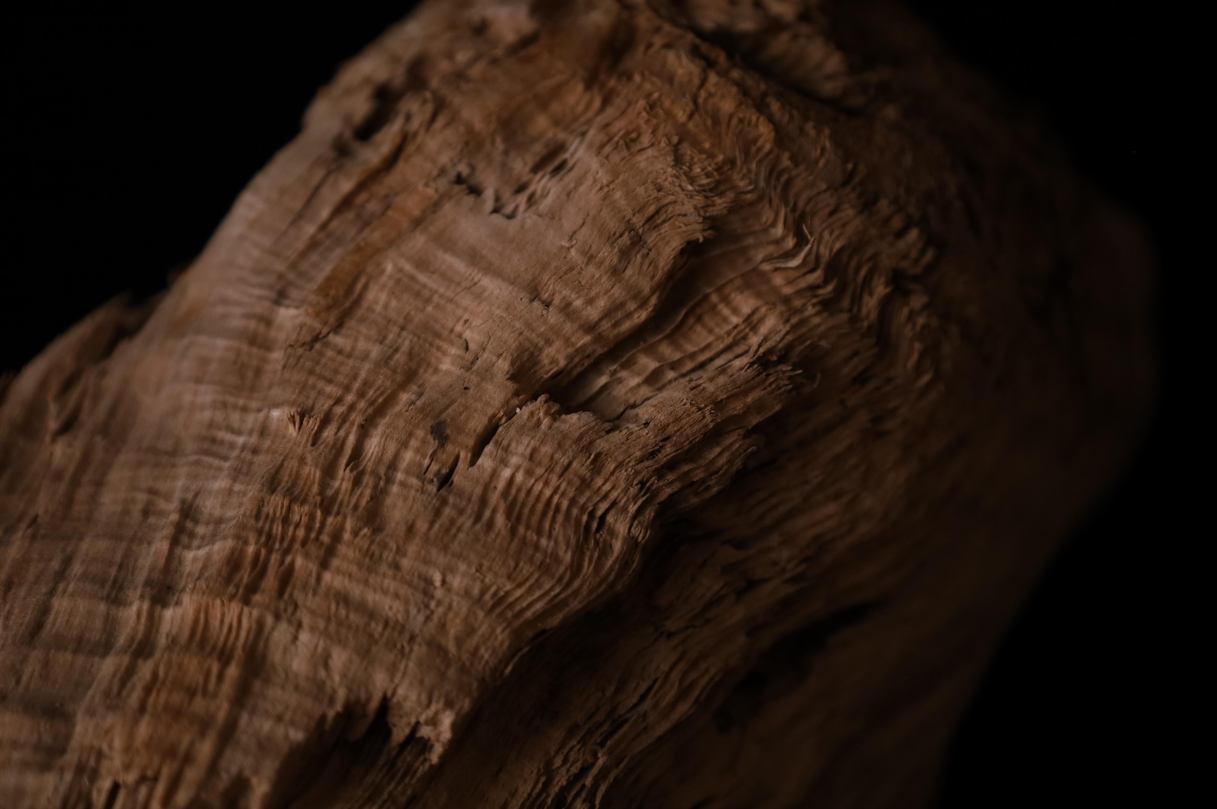 Pezzo scultoreo Nature - Dinamica decorativa Old Sun Driftwood sbiancata in vendita 8