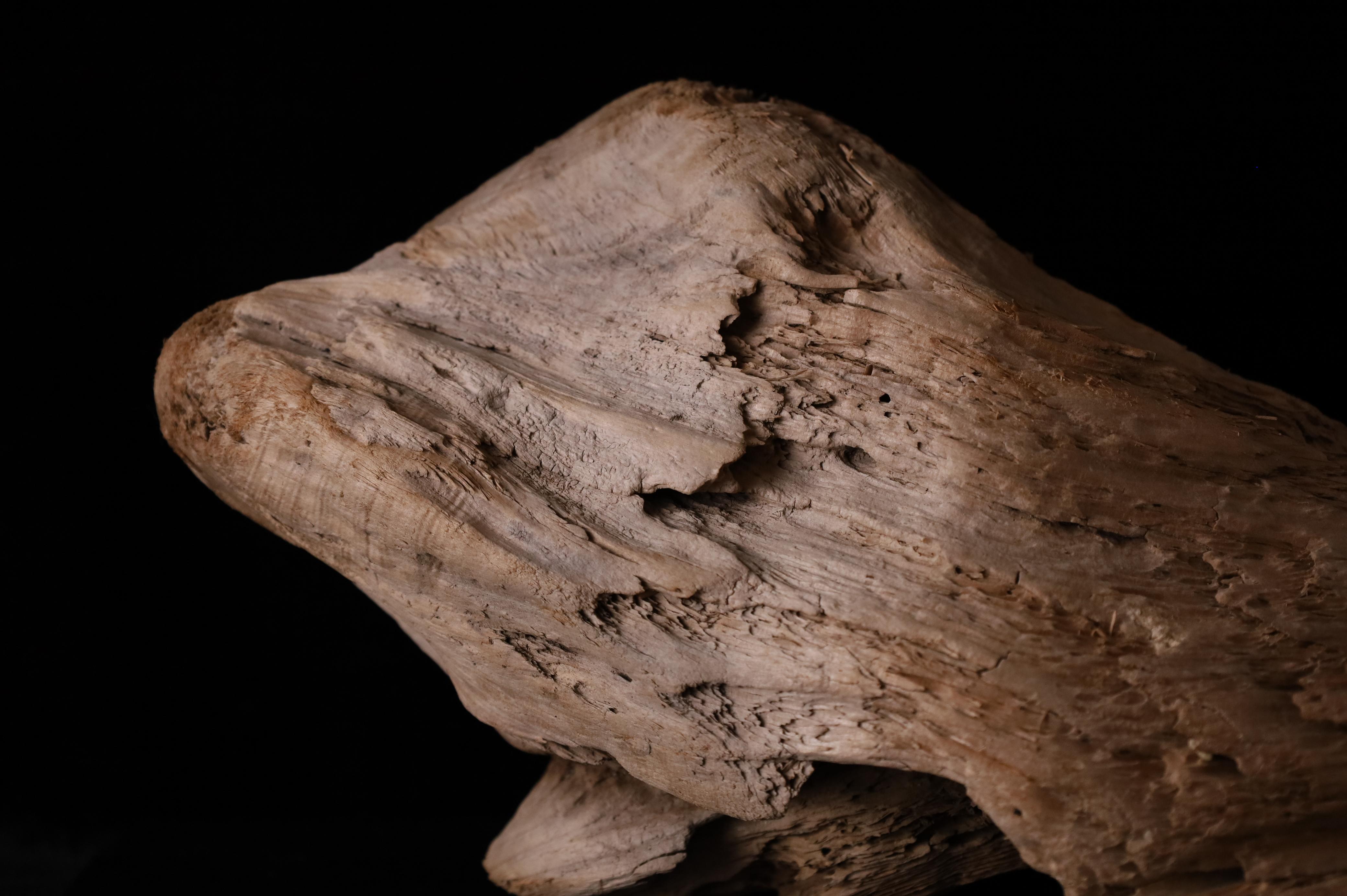 Giapponese Pezzo scultoreo Nature - Dinamica decorativa Old Sun Driftwood sbiancata in vendita