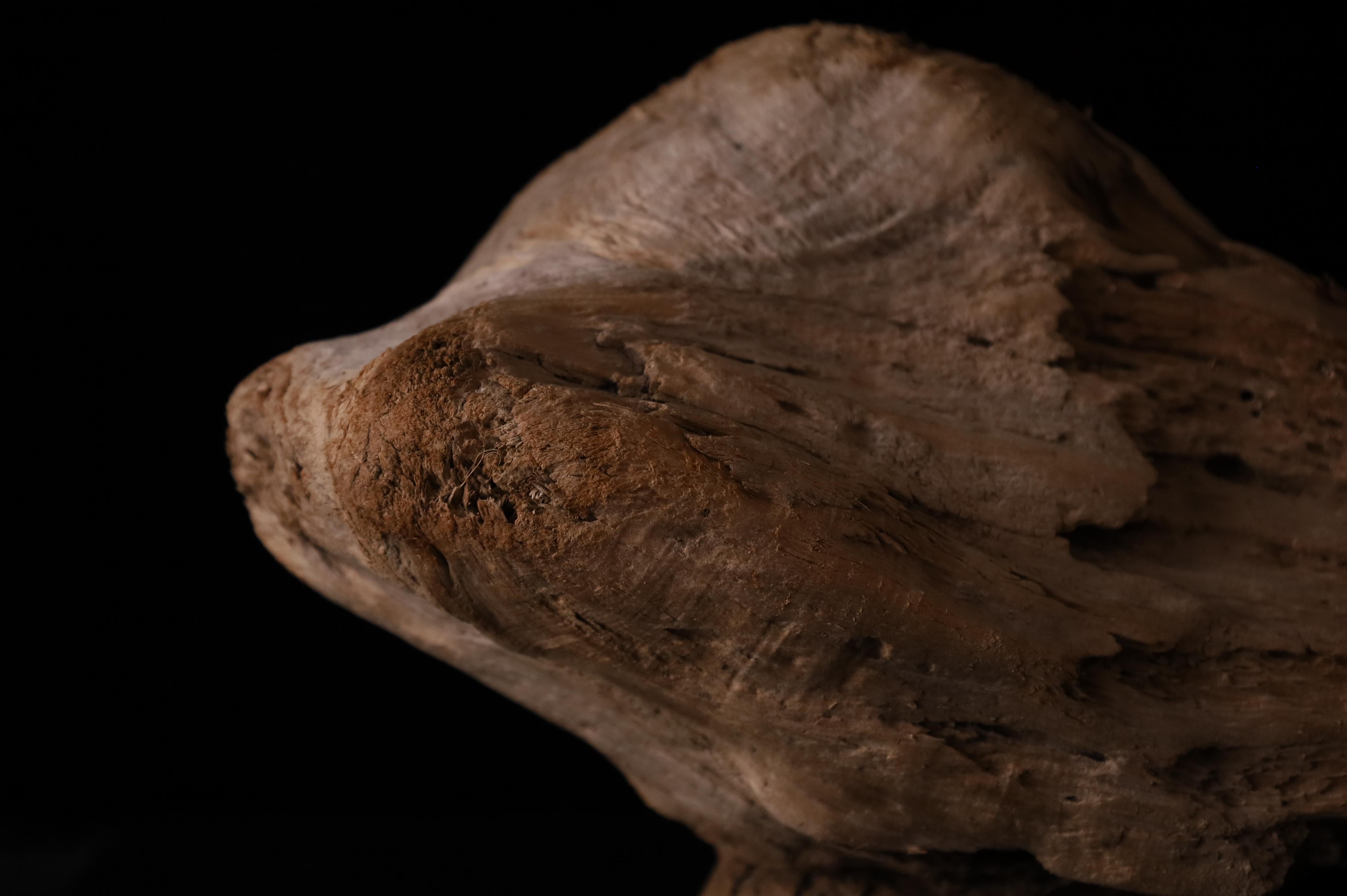 Pezzo scultoreo Nature - Dinamica decorativa Old Sun Driftwood sbiancata in vendita 1