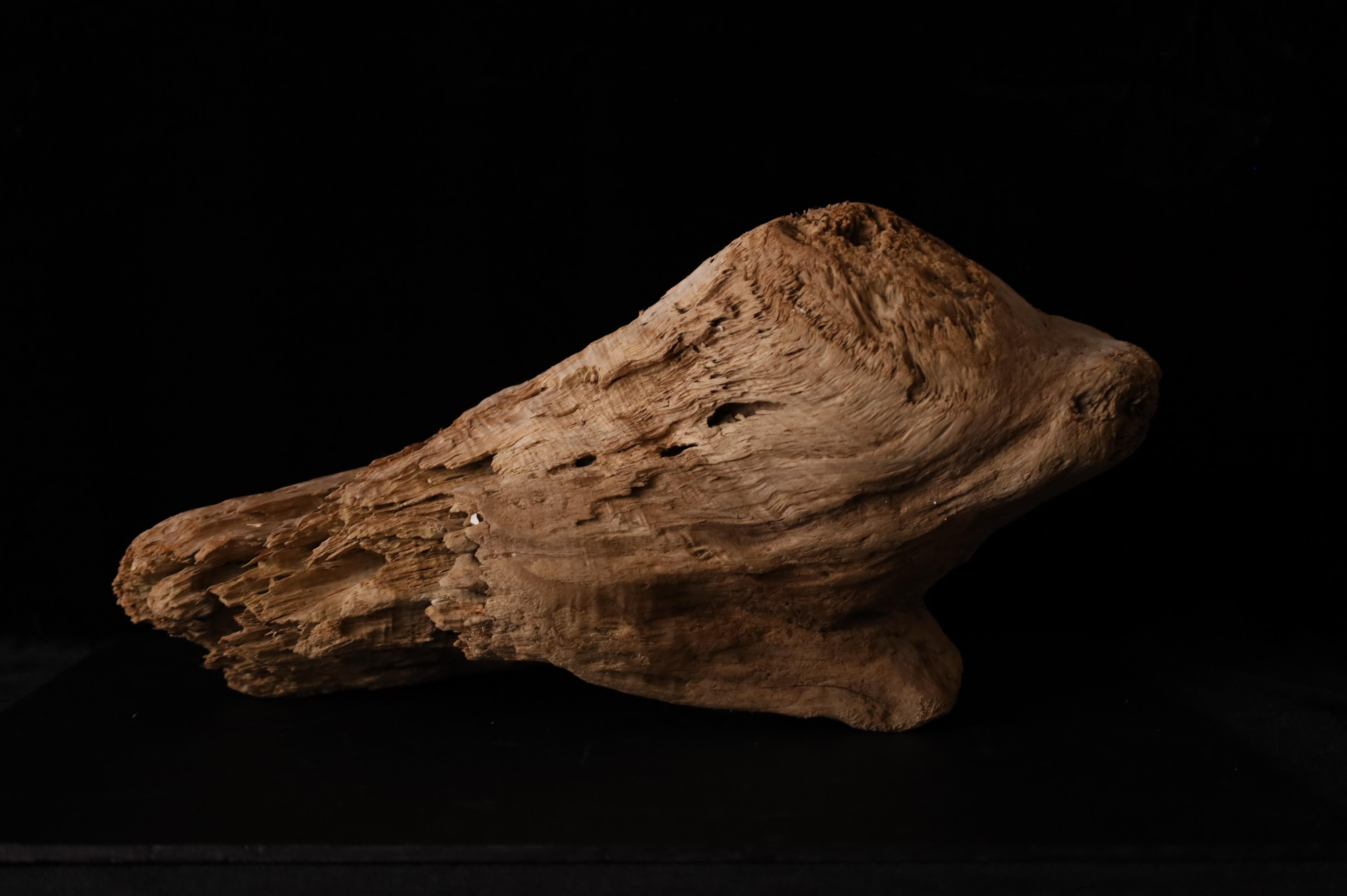Pezzo scultoreo Nature - Dinamica decorativa Old Sun Driftwood sbiancata in vendita 2