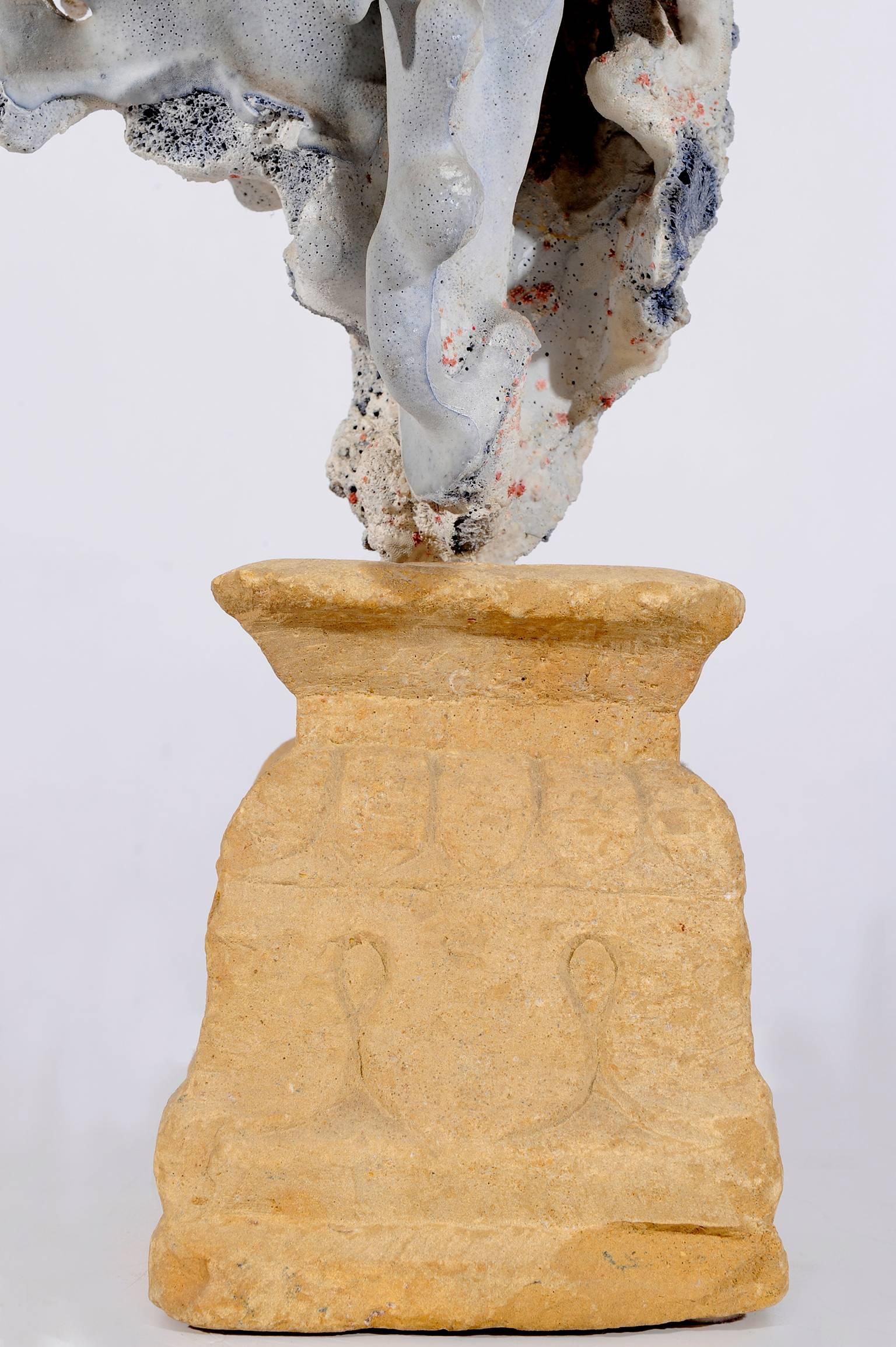 A beautiful blue Coral madrepora mounted on a stone ancient capitel, a natural sculpture for your sea-house.
O/41.