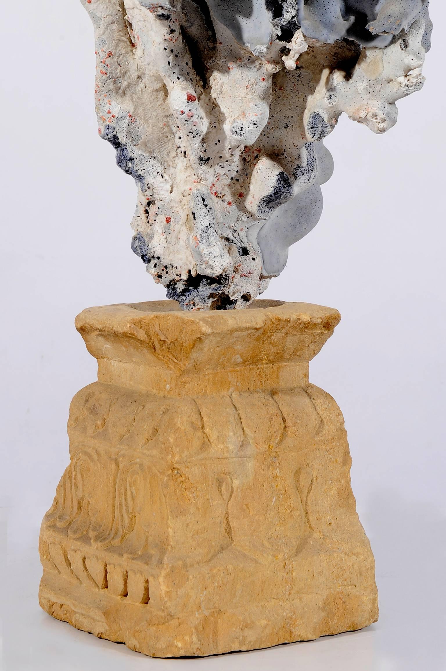 Other Natural Sculpture: Blue Coral  Madrepora and Shells on a Stone Capitel