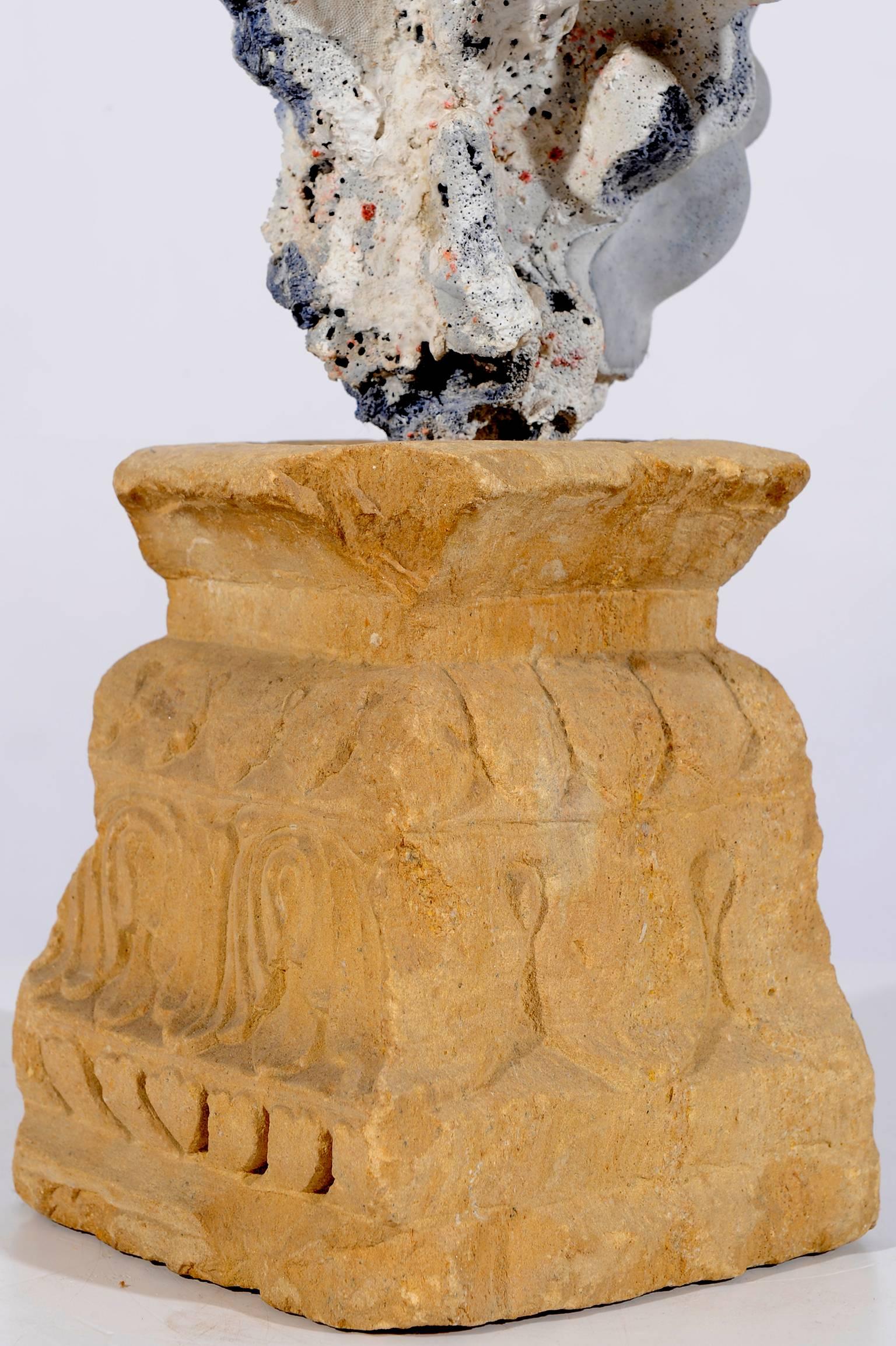 Italian Natural Sculpture: Blue Coral  Madrepora and Shells on a Stone Capitel