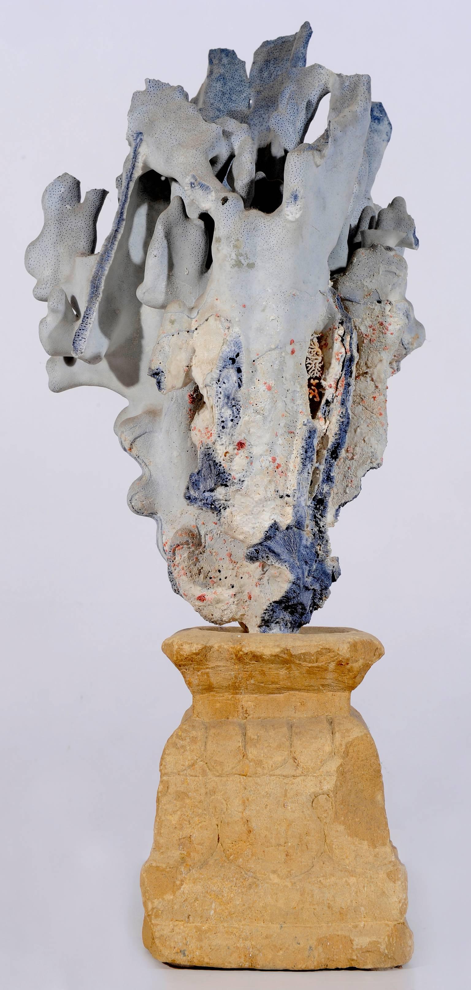 Hand-Carved Natural Sculpture: Blue Coral  Madrepora and Shells on a Stone Capitel