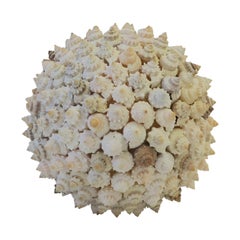 Seashell Sphere Ball Sculpture