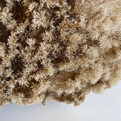 Natural Sea Sponge