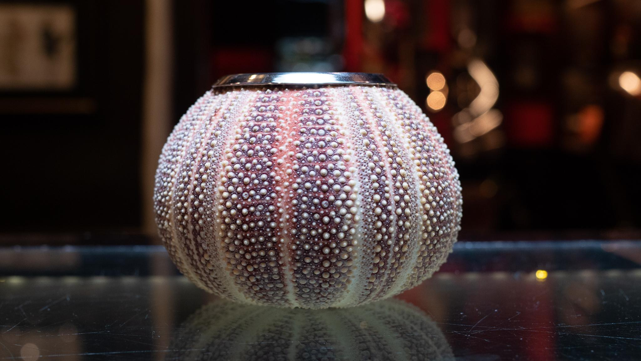 Natural Sea Urchin Vessel with Silver Interior Victoriano en venta