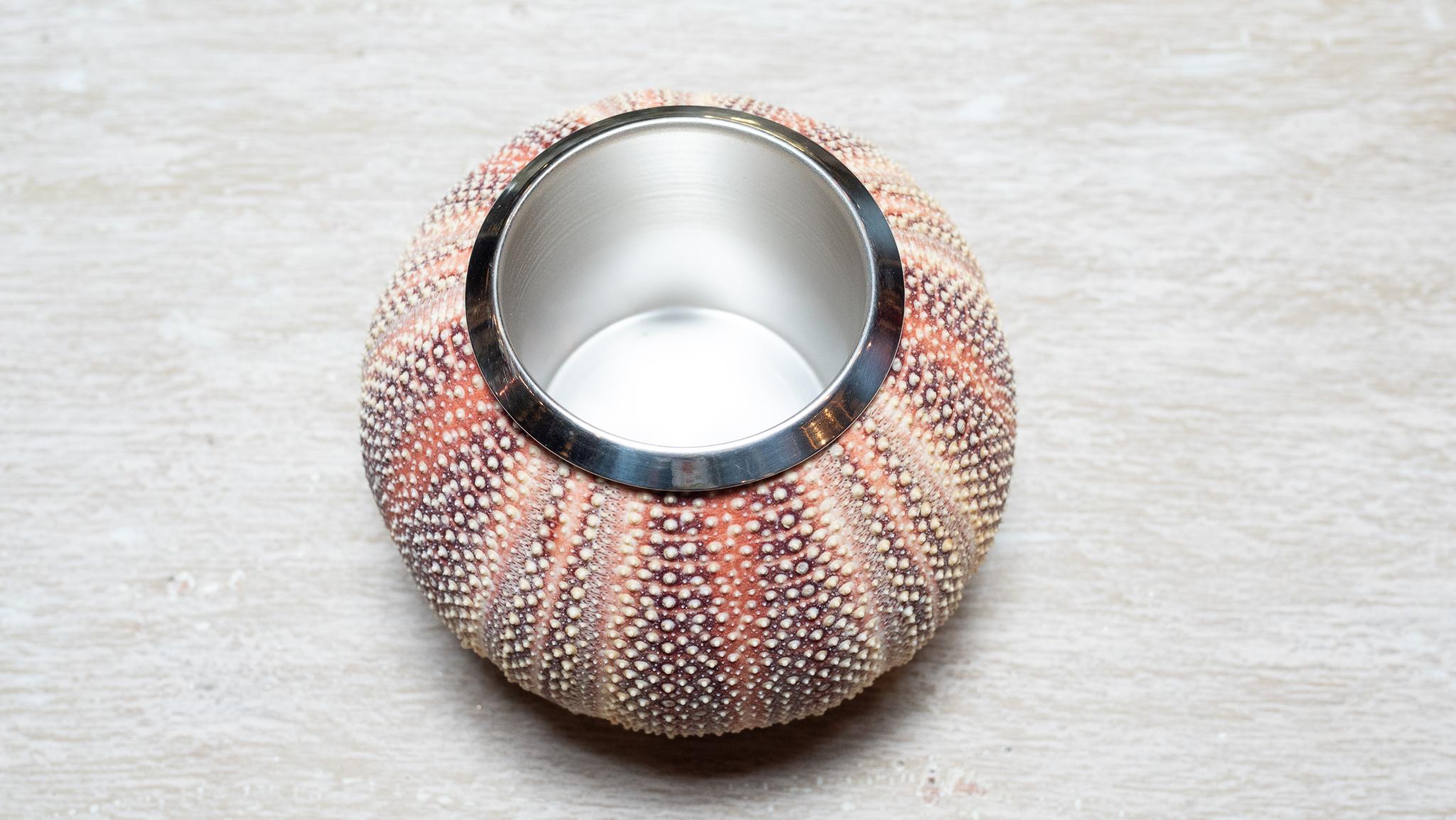 Natural Sea Urchin Vessel with Silver Interior Italiano en venta