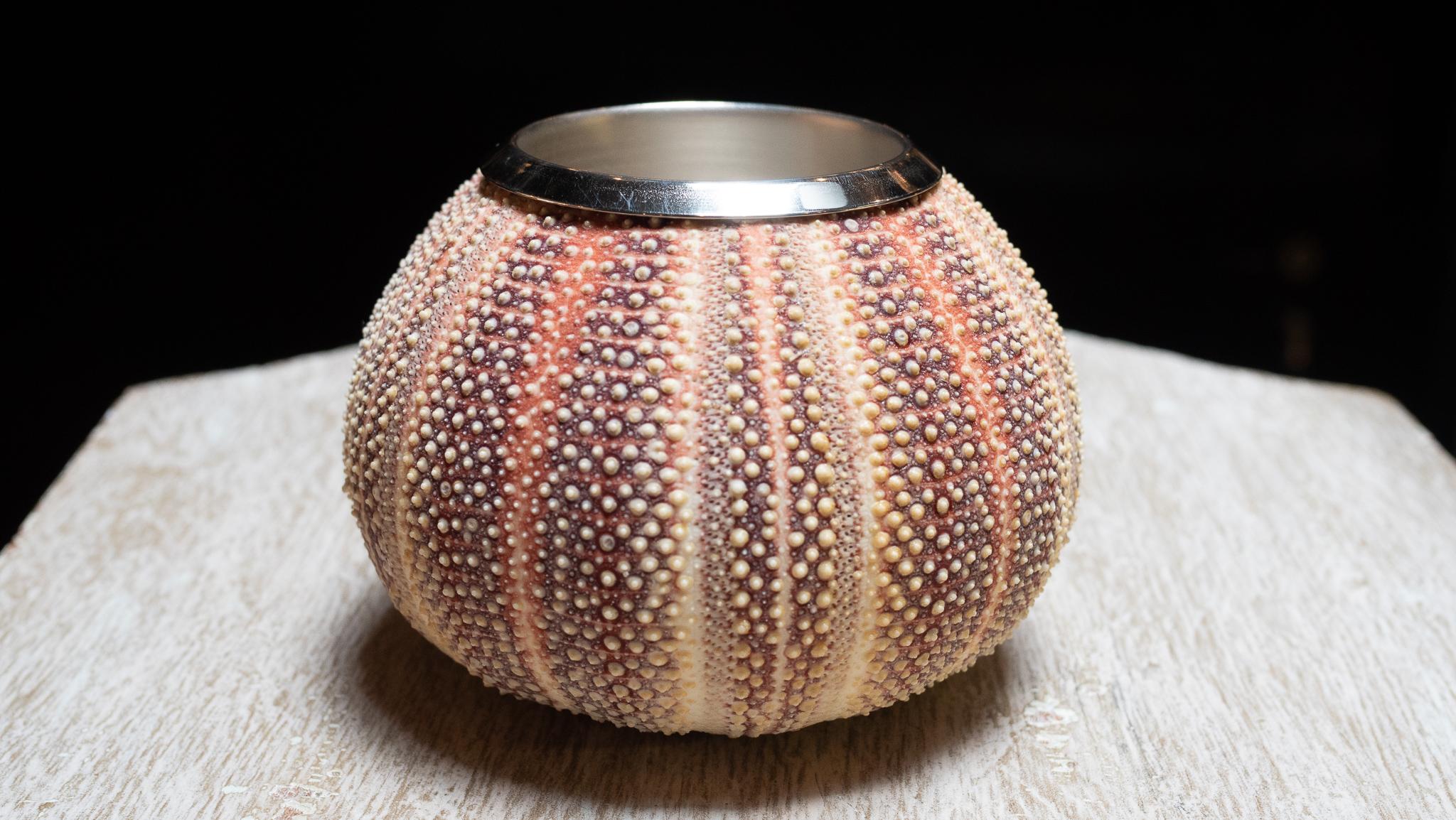 Natural Sea Urchin Vessel with Silver Interior en Nuevo estado para la venta en New York, NY