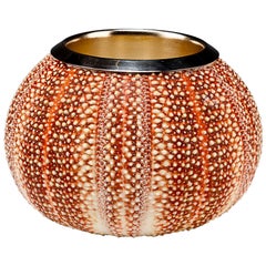 Natural Sea Urchin Vessel with Silver Interior