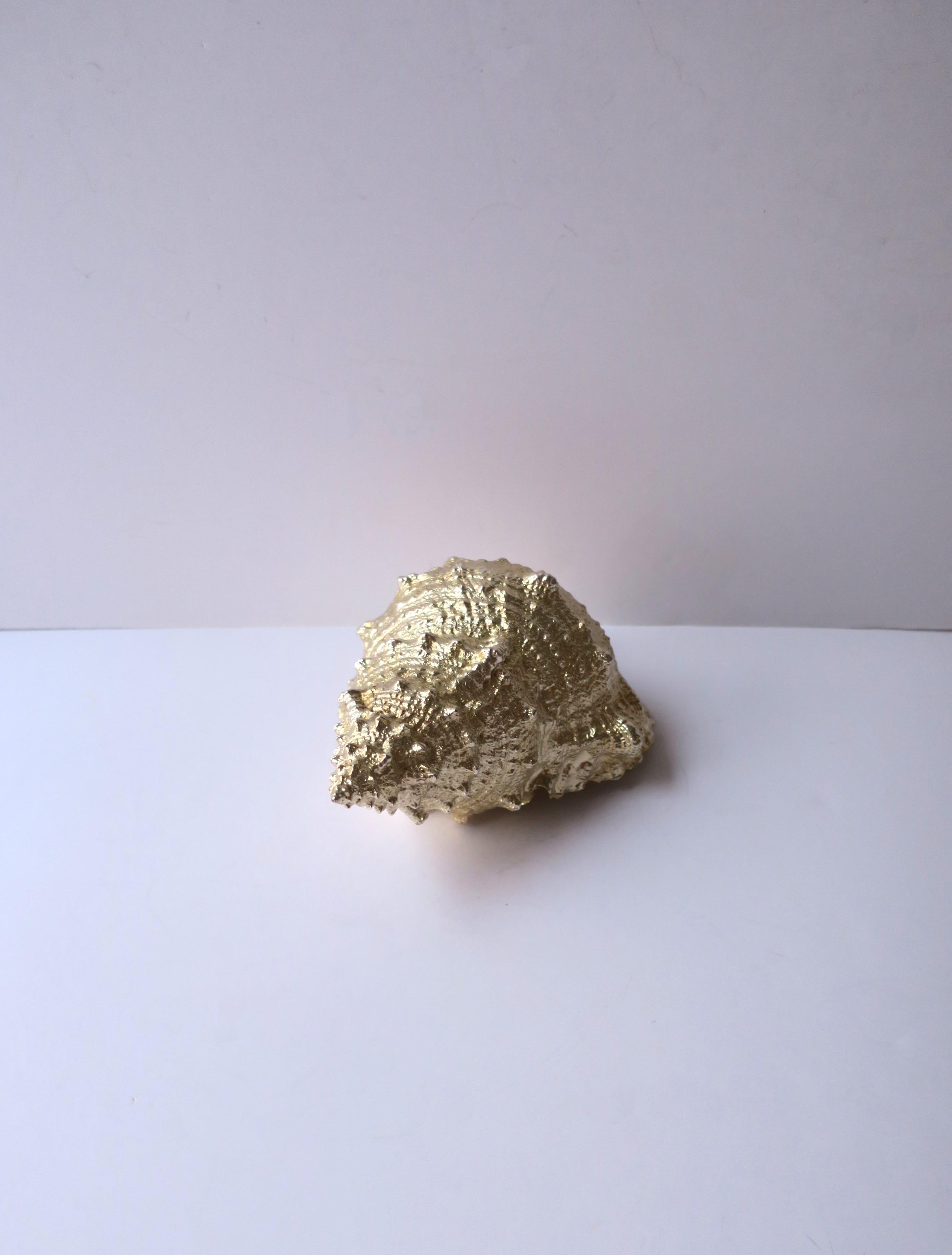 Nature Seashell in vendita 10