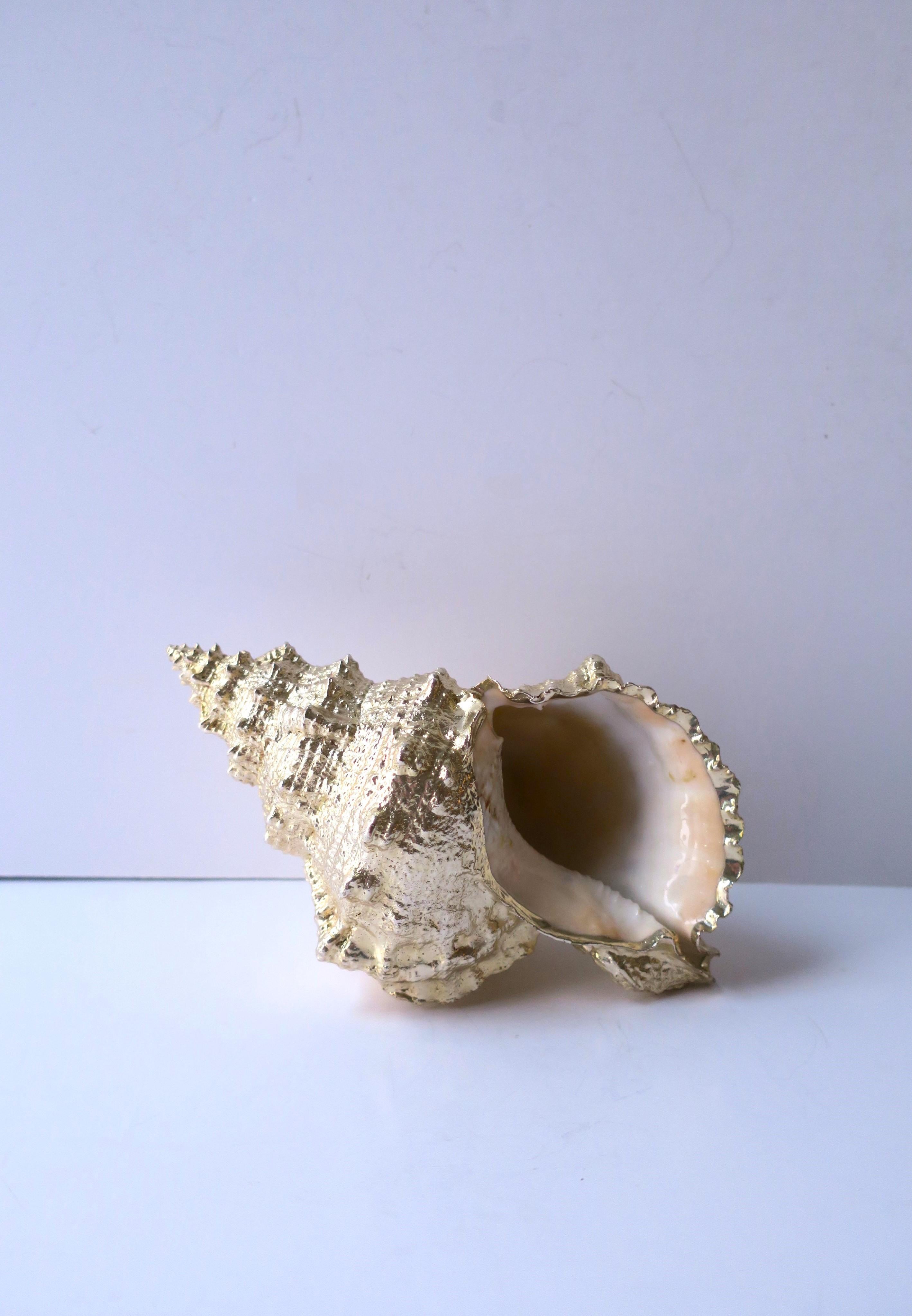A beautiful natural seashell dipped in a light-gold finish. A great decorative object for a shelf, on top of books, cocktail table, a vanity or bath area, etc. Many areas. This natural seashell has been dipped a light-gold finish; underside area