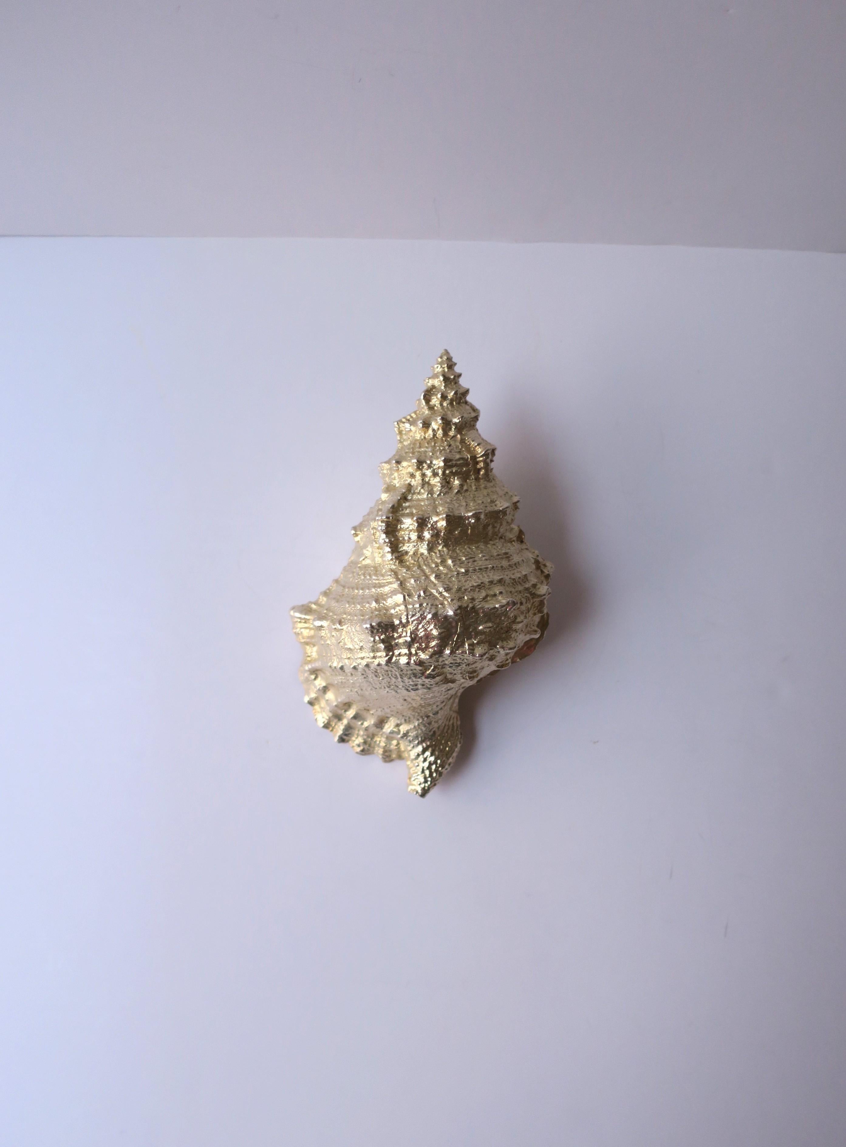 Natural Seashell  For Sale 1