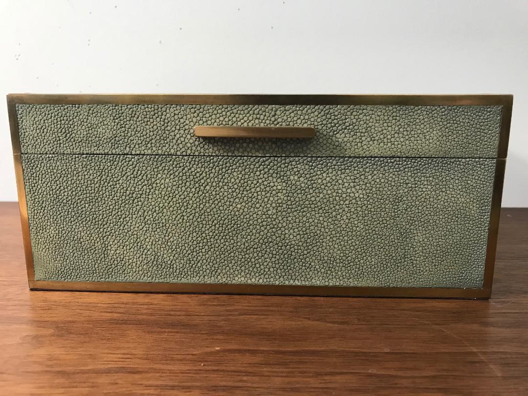 Natural Shagreen Box with Brass Inlay For Sale 3