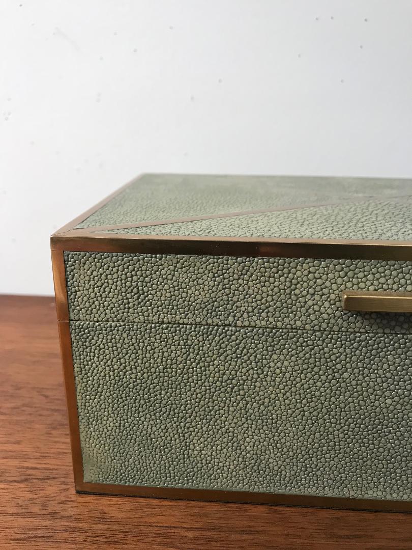 Natural Shagreen Box with Brass Inlay For Sale 4