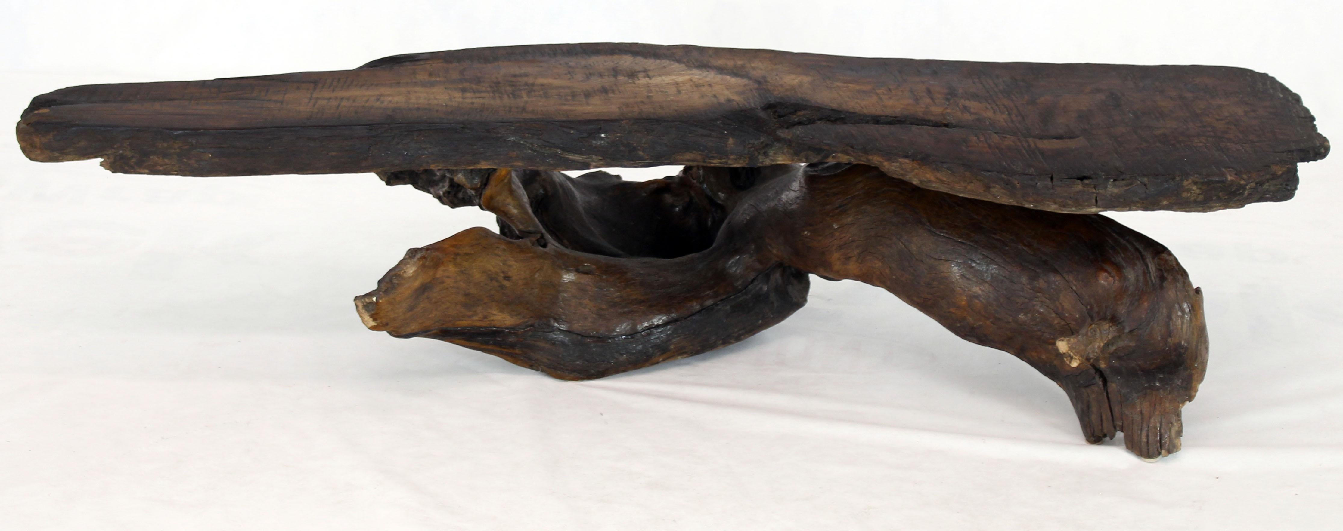 Natural Shape Varnished Wood Specimen Root Organic Shape Coffee Table In Distressed Condition In Rockaway, NJ