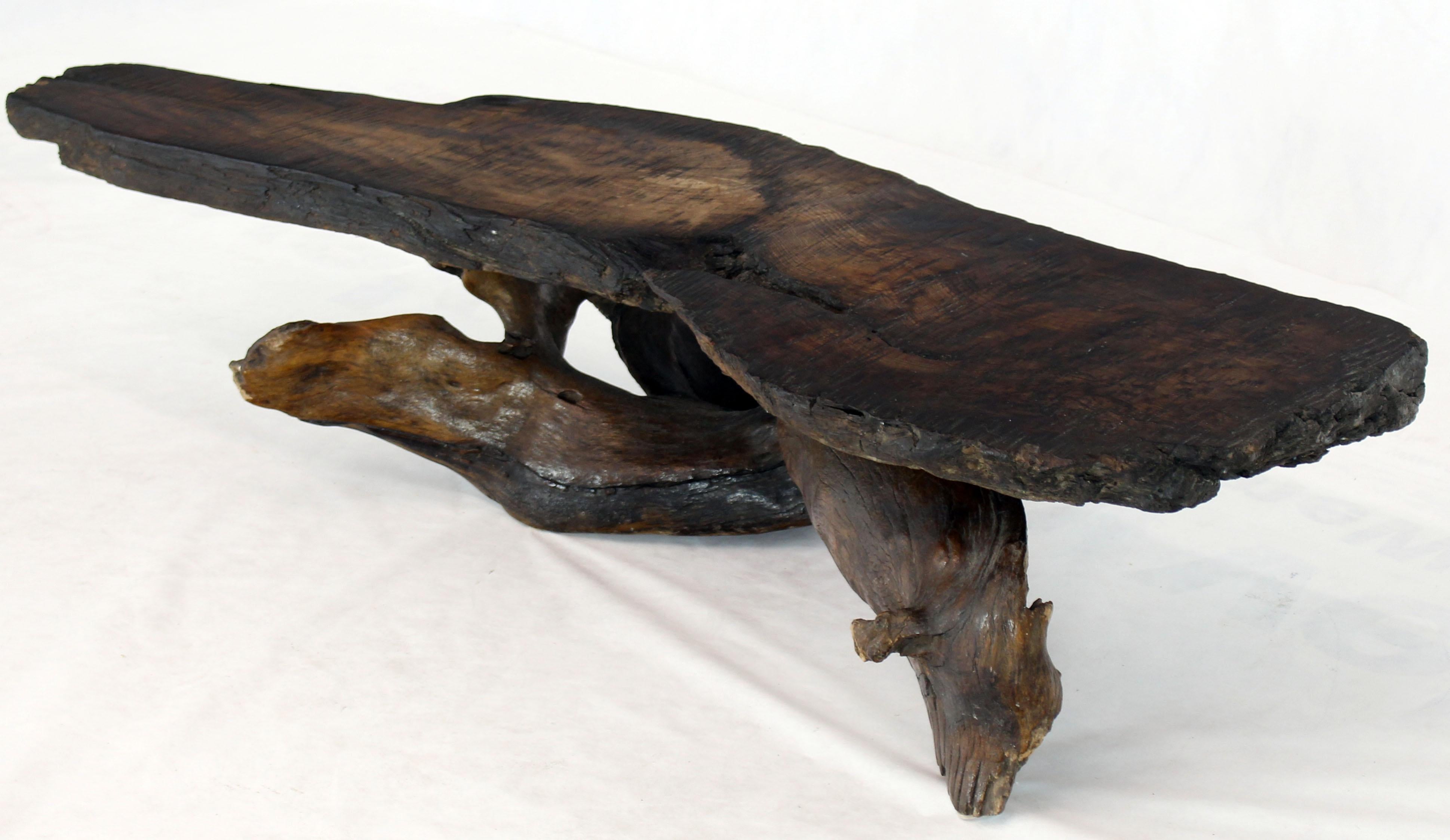 20th Century Natural Shape Varnished Wood Specimen Root Organic Shape Coffee Table