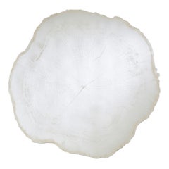 Natural-Shaped Frosted White Wood Edge Mirror Arbo Ice L By Deknudt Mirrors