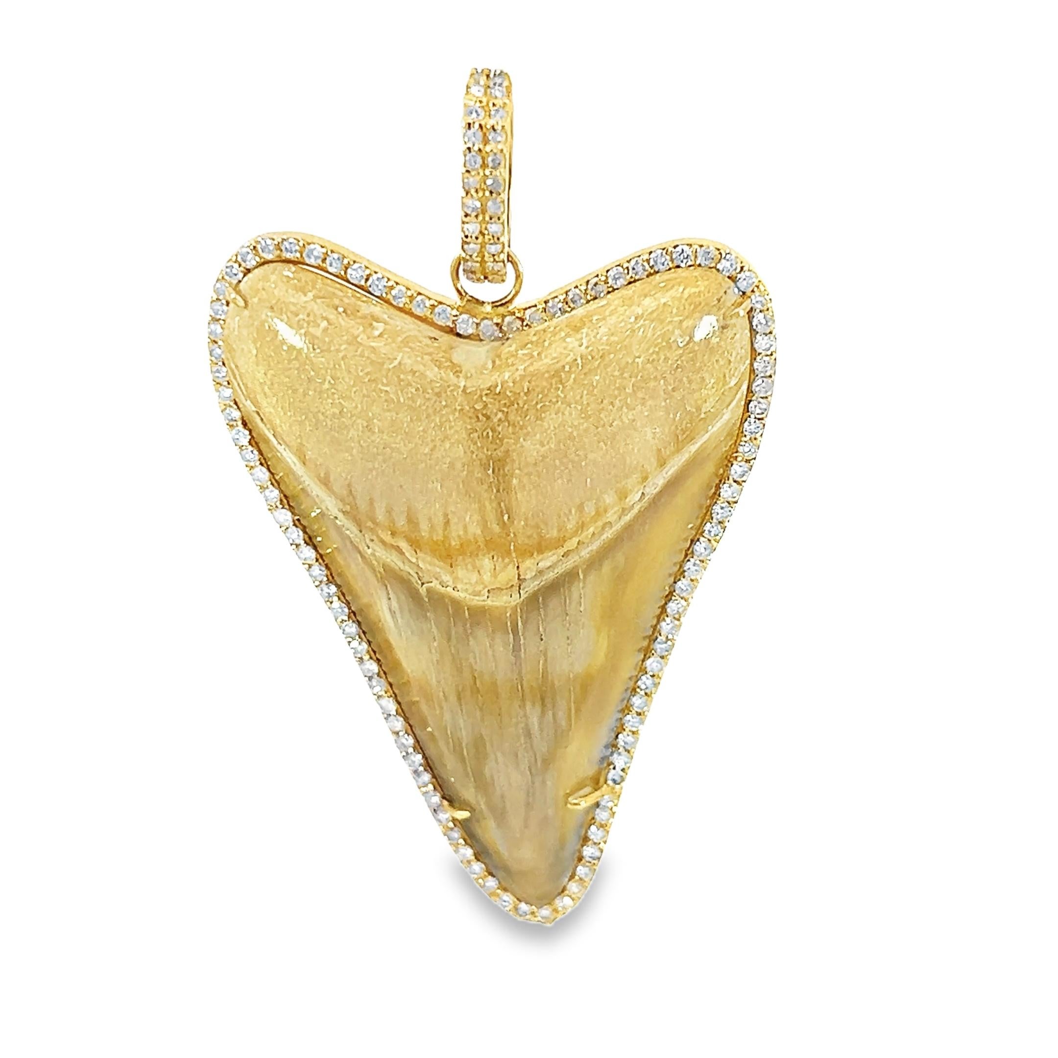 Questo splendido ciondolo a forma di cuore è caratterizzato da un'esclusiva gemma naturale a dente di squalo da 60,81 carati che cattura l'essenza della bellezza della Nature e da una pietra splendidamente circondata da 1,00 carati di diamanti.