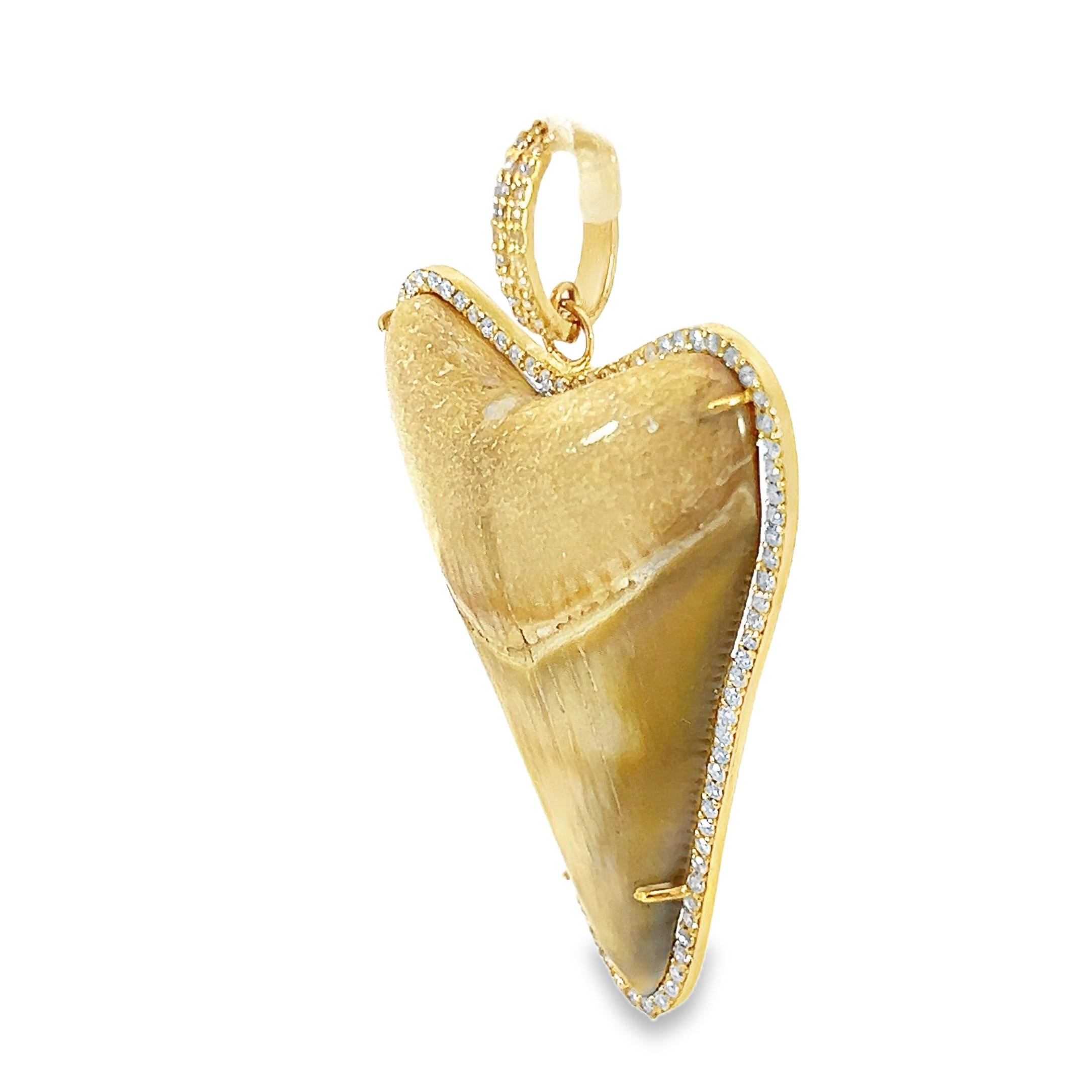 Dente di squalo e diamante Nature  ciondolo In condizioni Nuovo in vendita a New York, NY