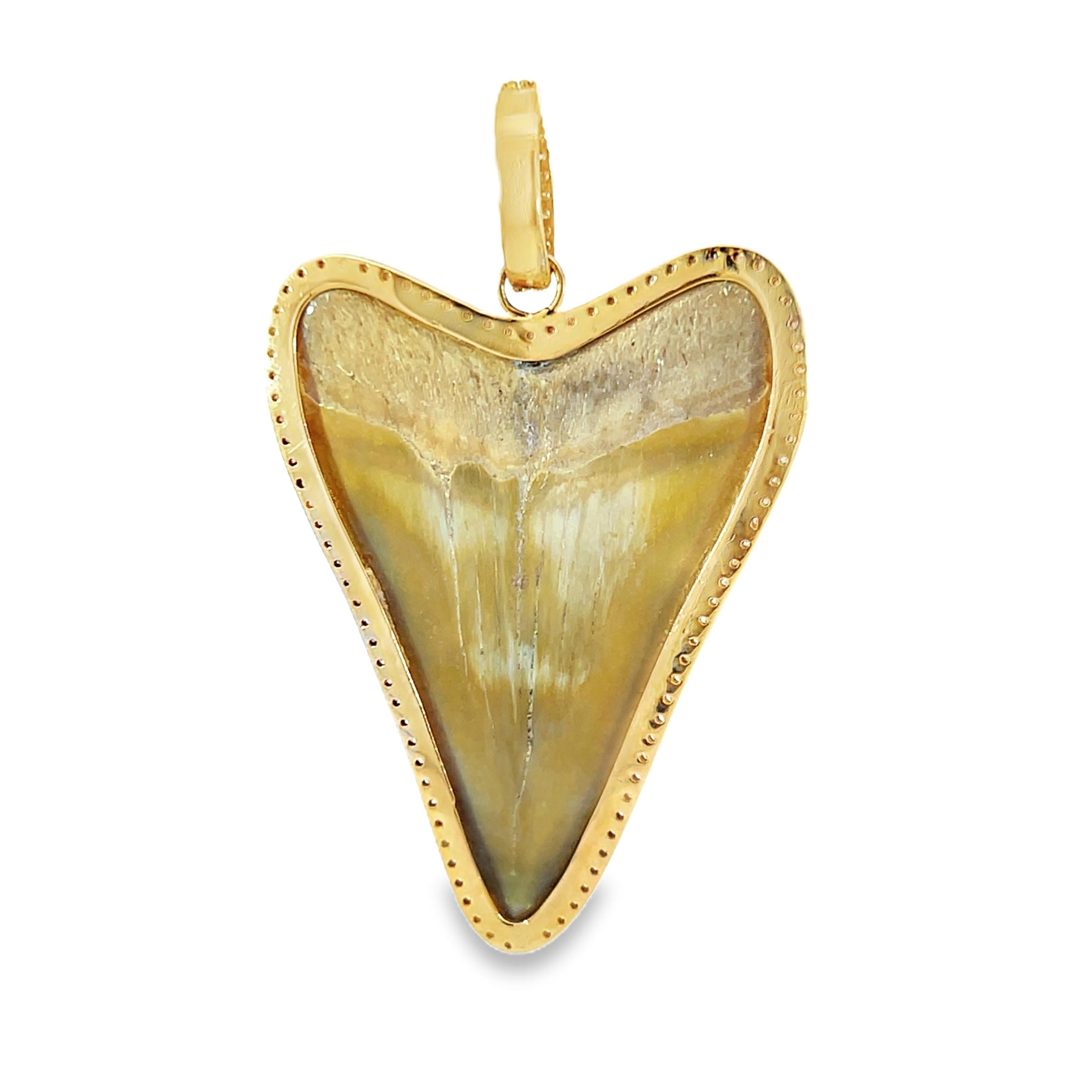Donna Dente di squalo e diamante Nature  ciondolo in vendita