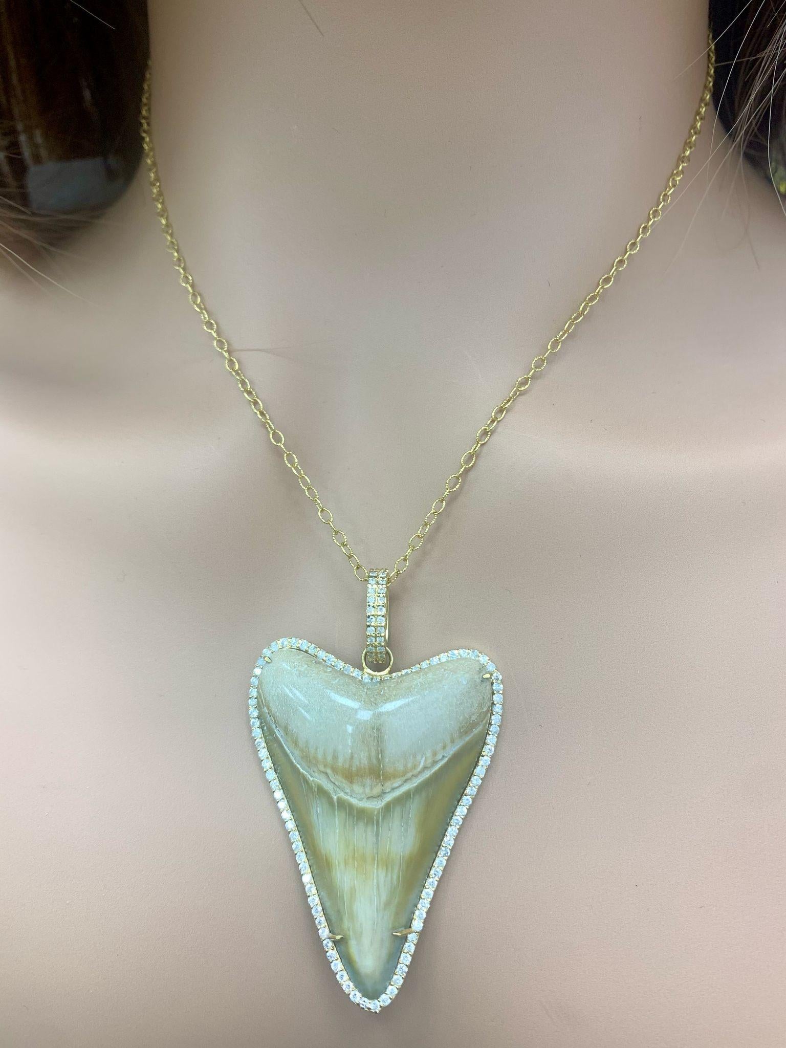 Dente di squalo e diamante Nature  ciondolo in vendita 1