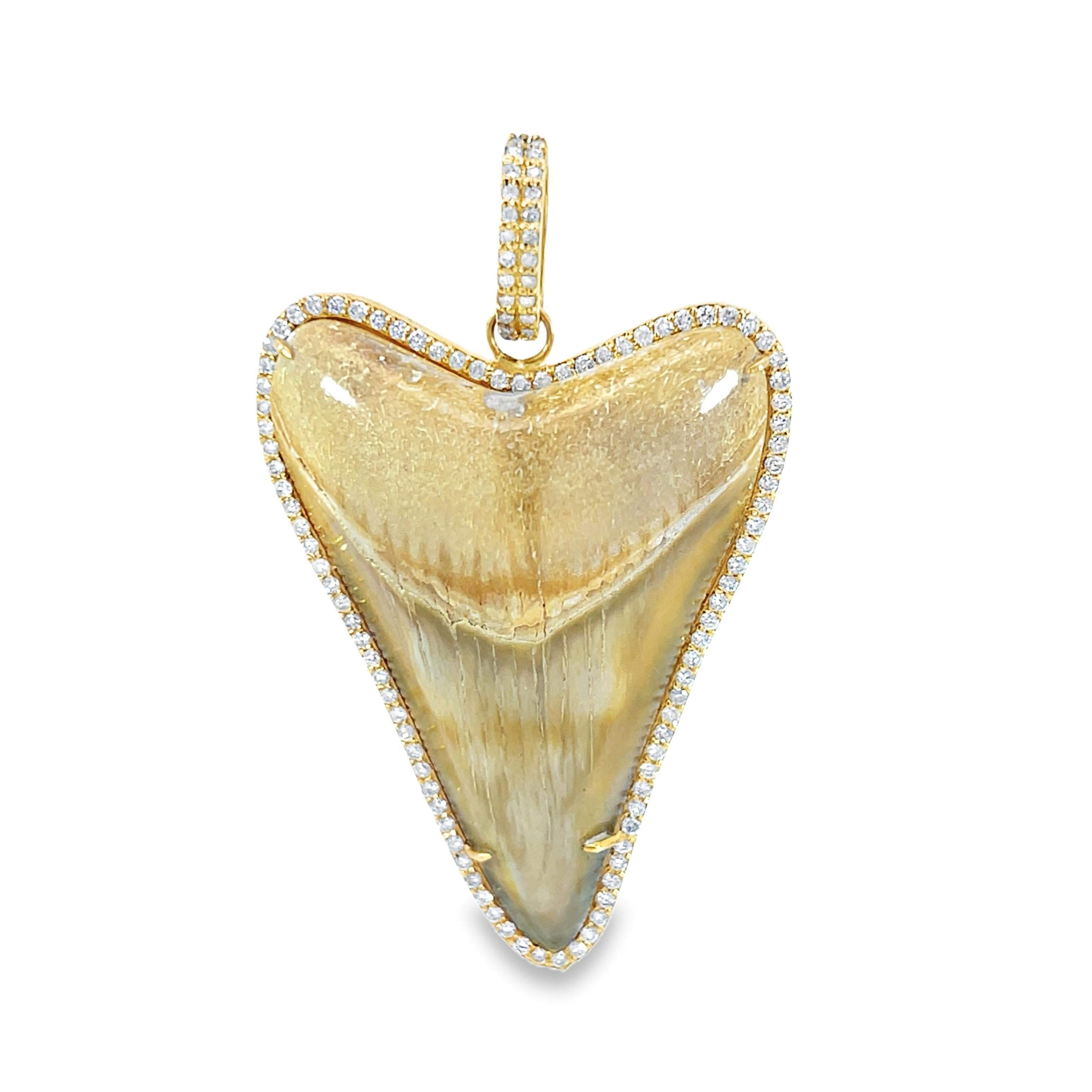 Dente di squalo e diamante Nature  ciondolo in vendita