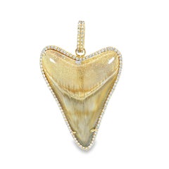 Natural shark tooth and diamond  pendant