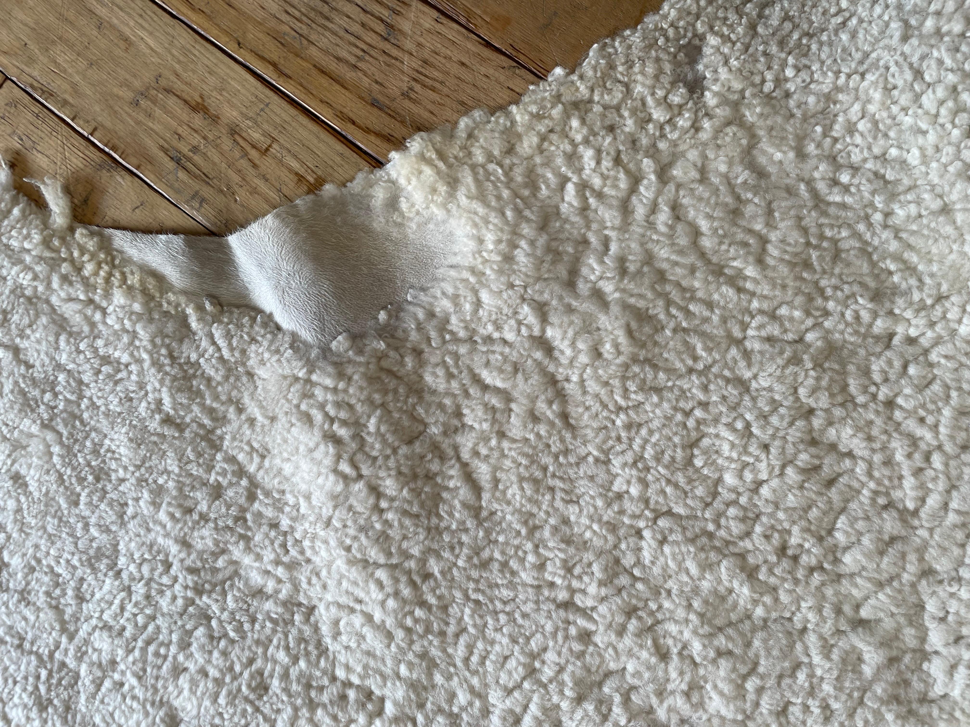 Natural Sheepskin Hide Rug or Throw For Sale 3
