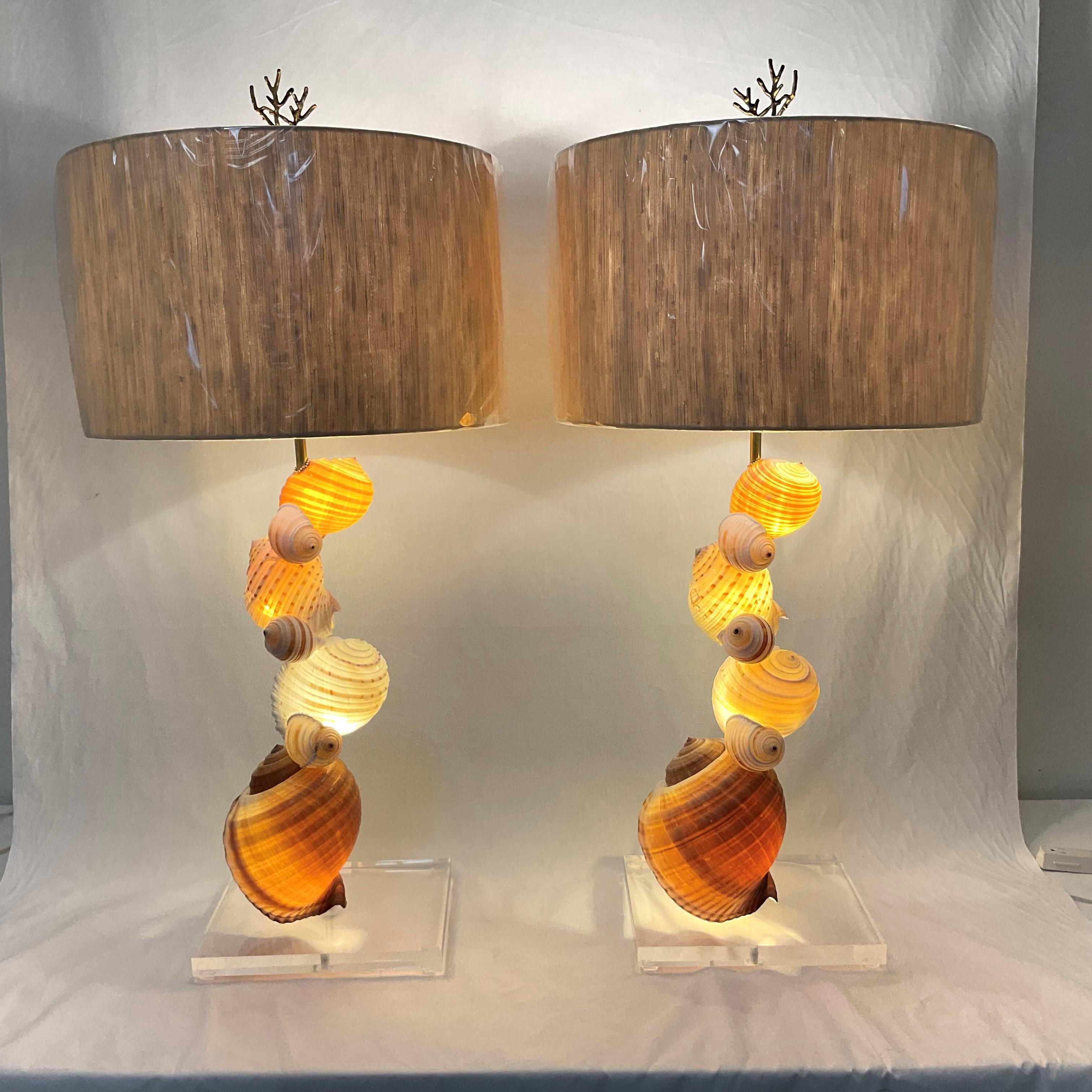 Lámparas de concha natural sobre bases de lucite con pantallas y remates en venta 3