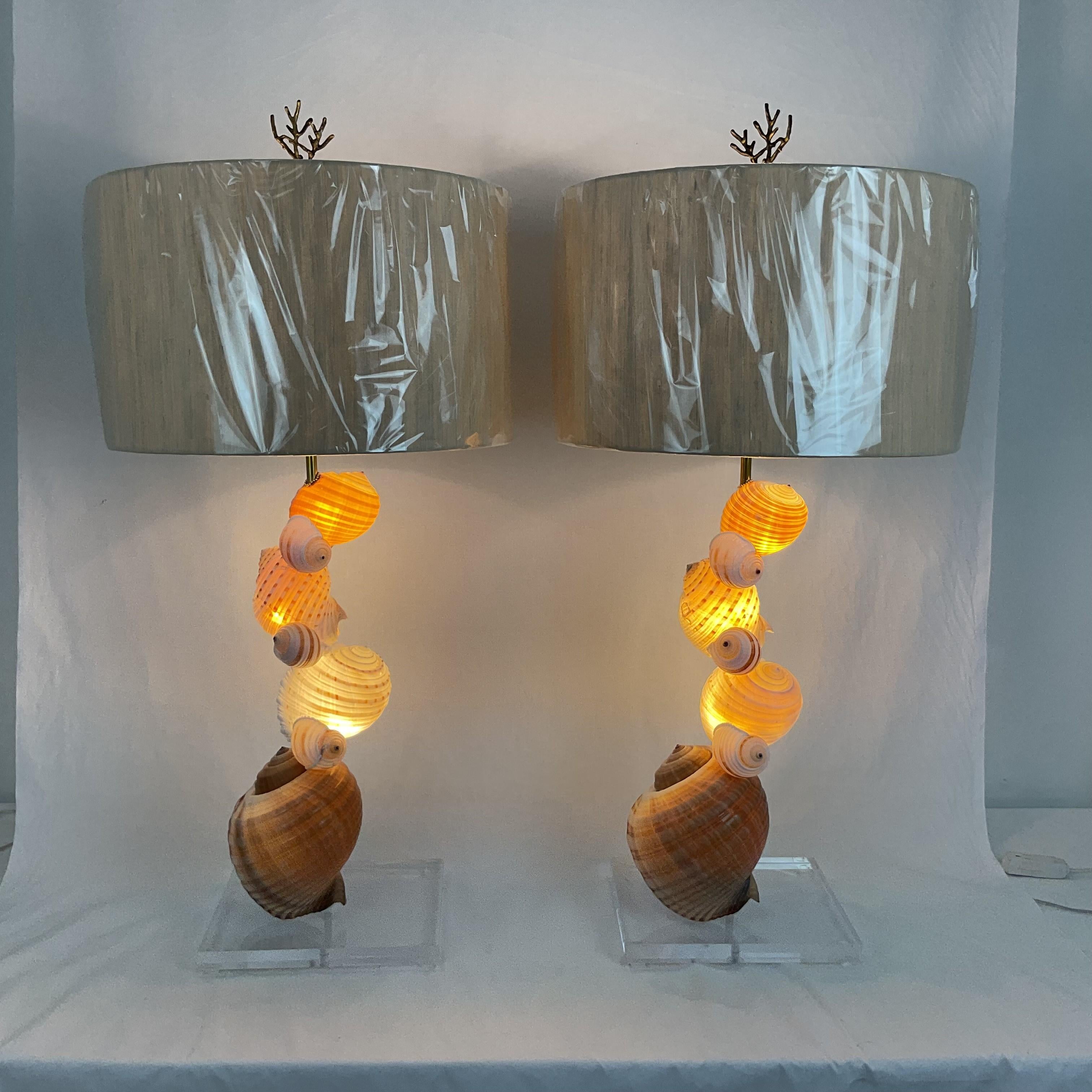 Lámparas de concha natural sobre bases de lucite con pantallas y remates en venta 4
