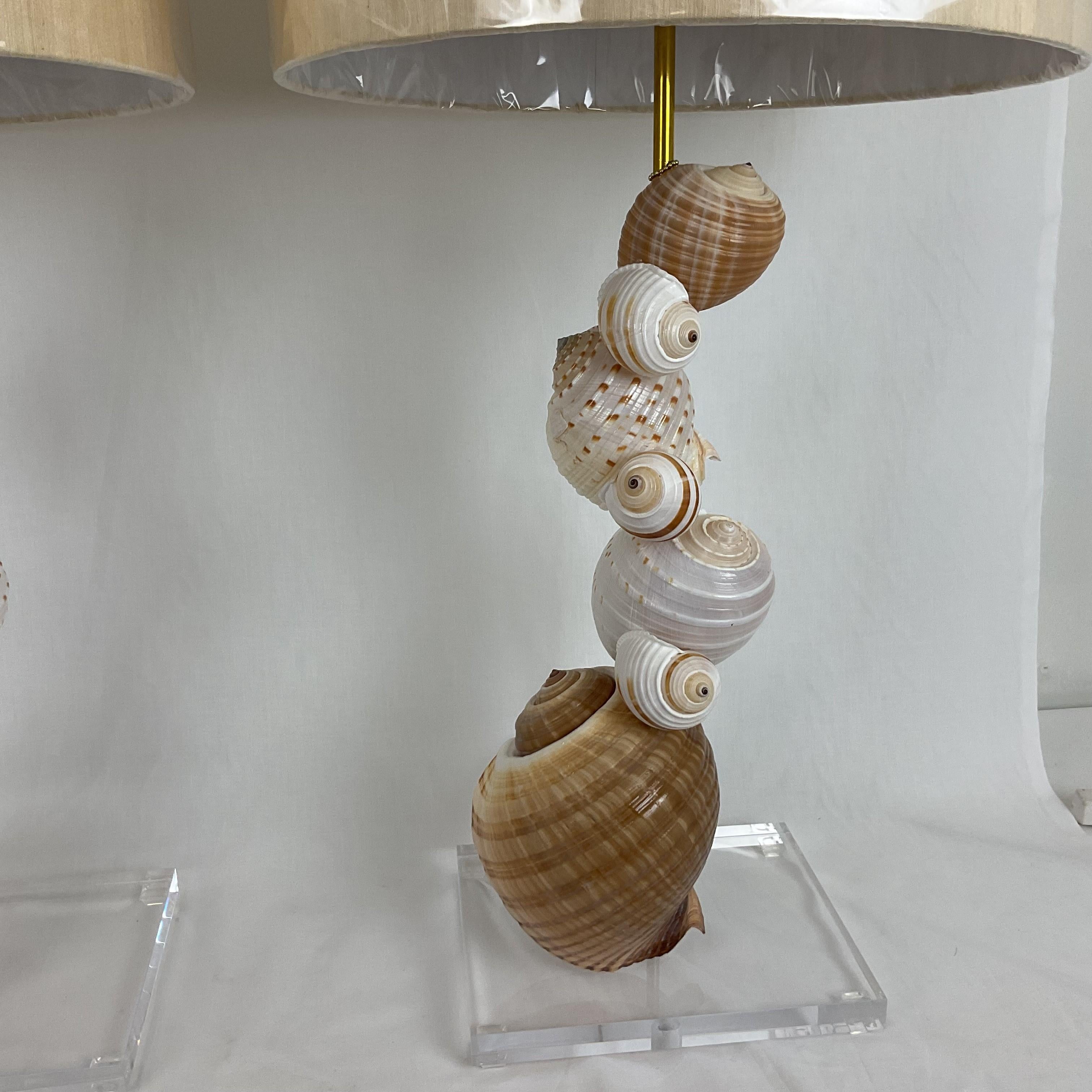 Preciosa pareja alta de Lámparas de Concha Natural sobre bases de lucite. Las carcasas se iluminan desde dentro con luces LED sustituibles. A gran escala y dramática.  Las pantallas son de un bello lino beige nudoso con remates de latón coral