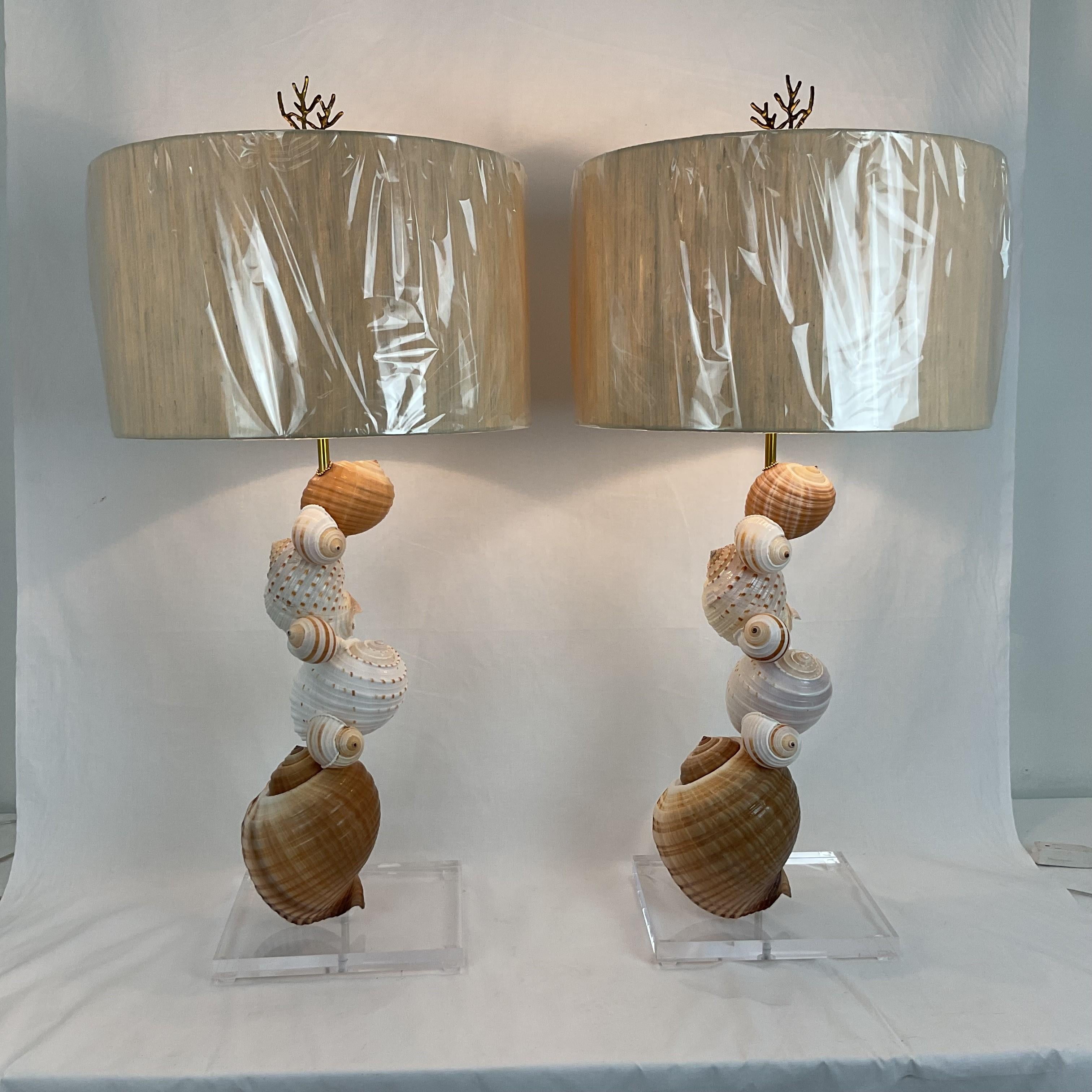Lámparas de concha natural sobre bases de lucite con pantallas y remates en venta 1