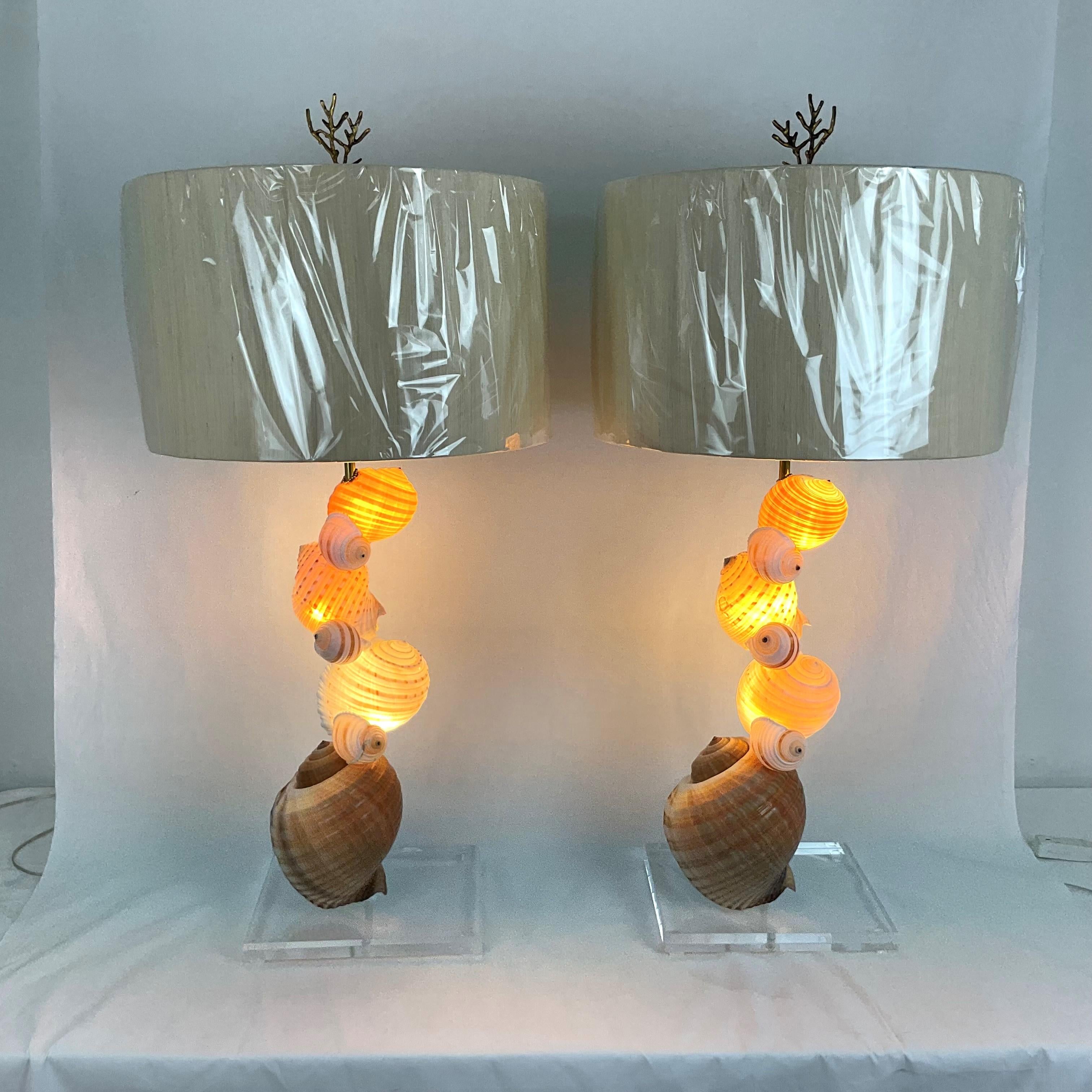 Lámparas de concha natural sobre bases de lucite con pantallas y remates en venta 2