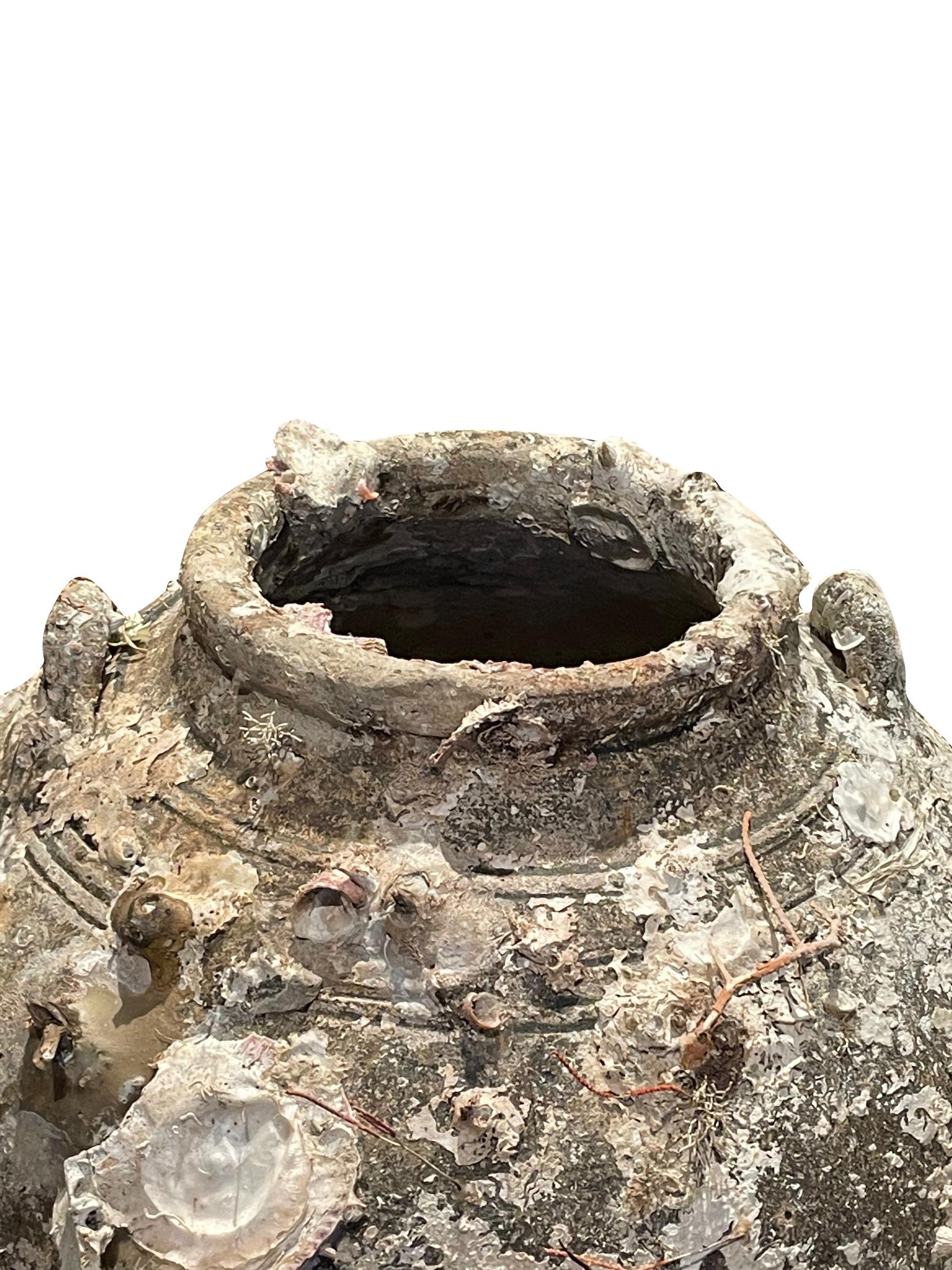 Natürliche Muscheln und Barnacles auf Schiffswrack-Vase, Kambodscha, 16. Jahrhundert (18. Jahrhundert und früher) im Angebot