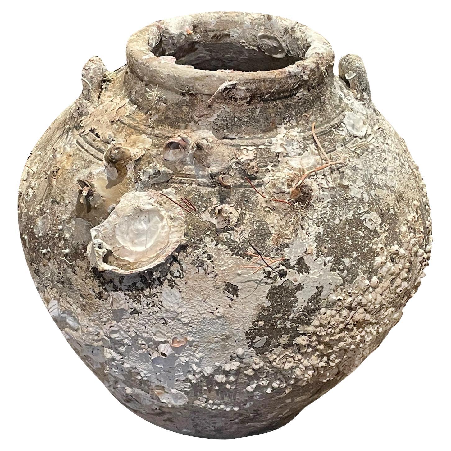 Natürliche Muscheln und Barnacles auf Schiffswrack-Vase, Kambodscha, 16. Jahrhundert im Angebot