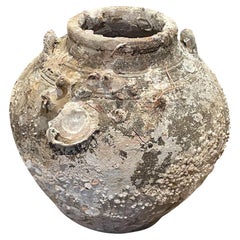 Antique Natural Shells And Barnacles On Shipwreck Vase, Cambodia, 16th Century