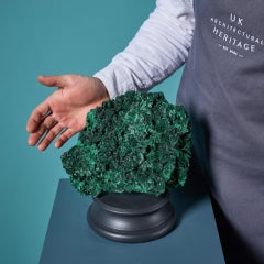 Natural Silky Fibrous Malachite Large Cabinet Specimen