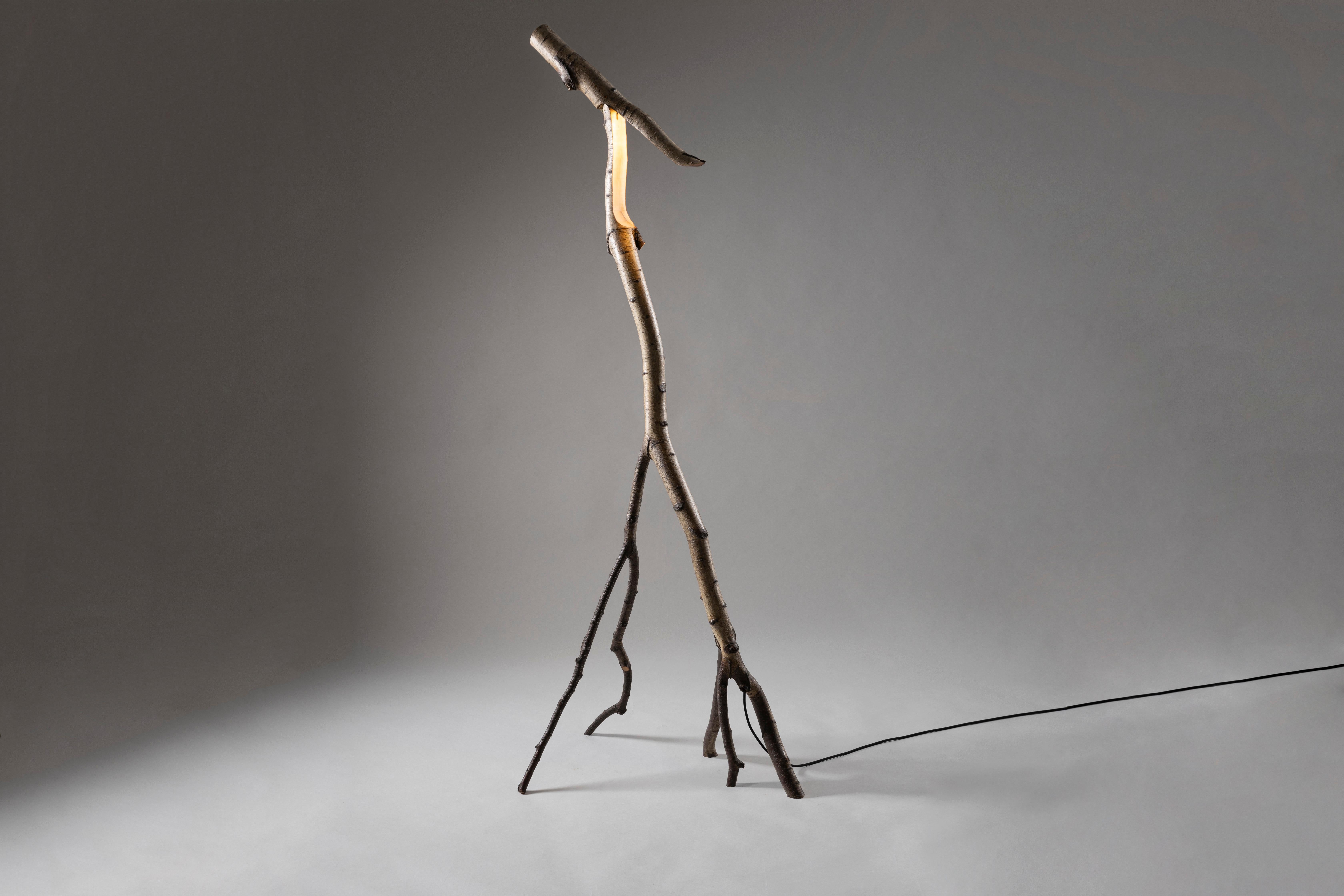 Lampada da terra Natural Snappy Tree Friend di Marco Iannicelli
Dimensioni: L. 45-70 x L. 45-70 x H. 185-210 cm
Materiali: Wood.
Peso: 20 kg. 

Marco Iannicelli è un artista indipendente di product design.
Il suo studio è stato fondato nel 2010,