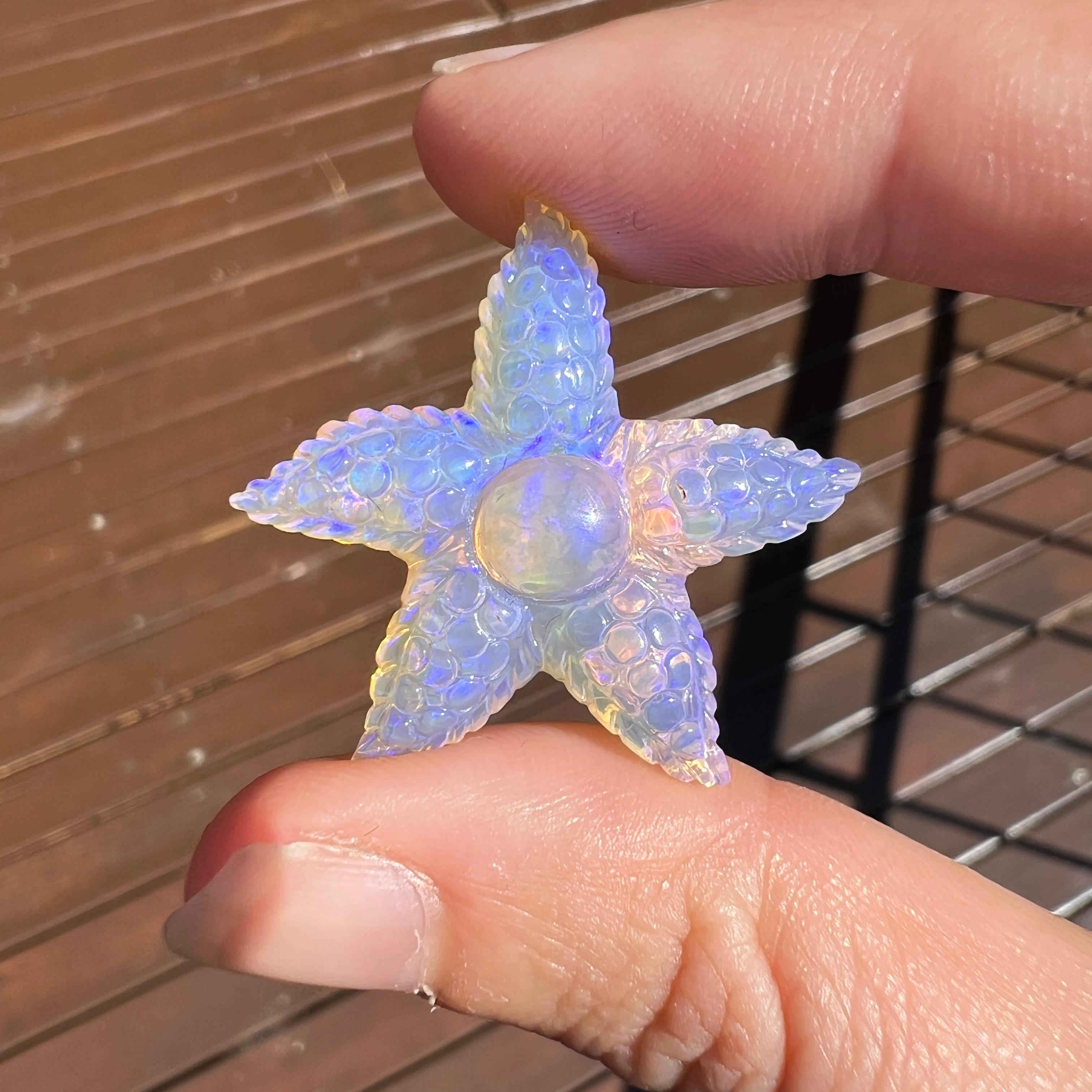Natural solid 21.67 Ct Crystal Starfish Australian Opal mined by Sue Cooper In New Condition For Sale In BELCONNEN, ACT