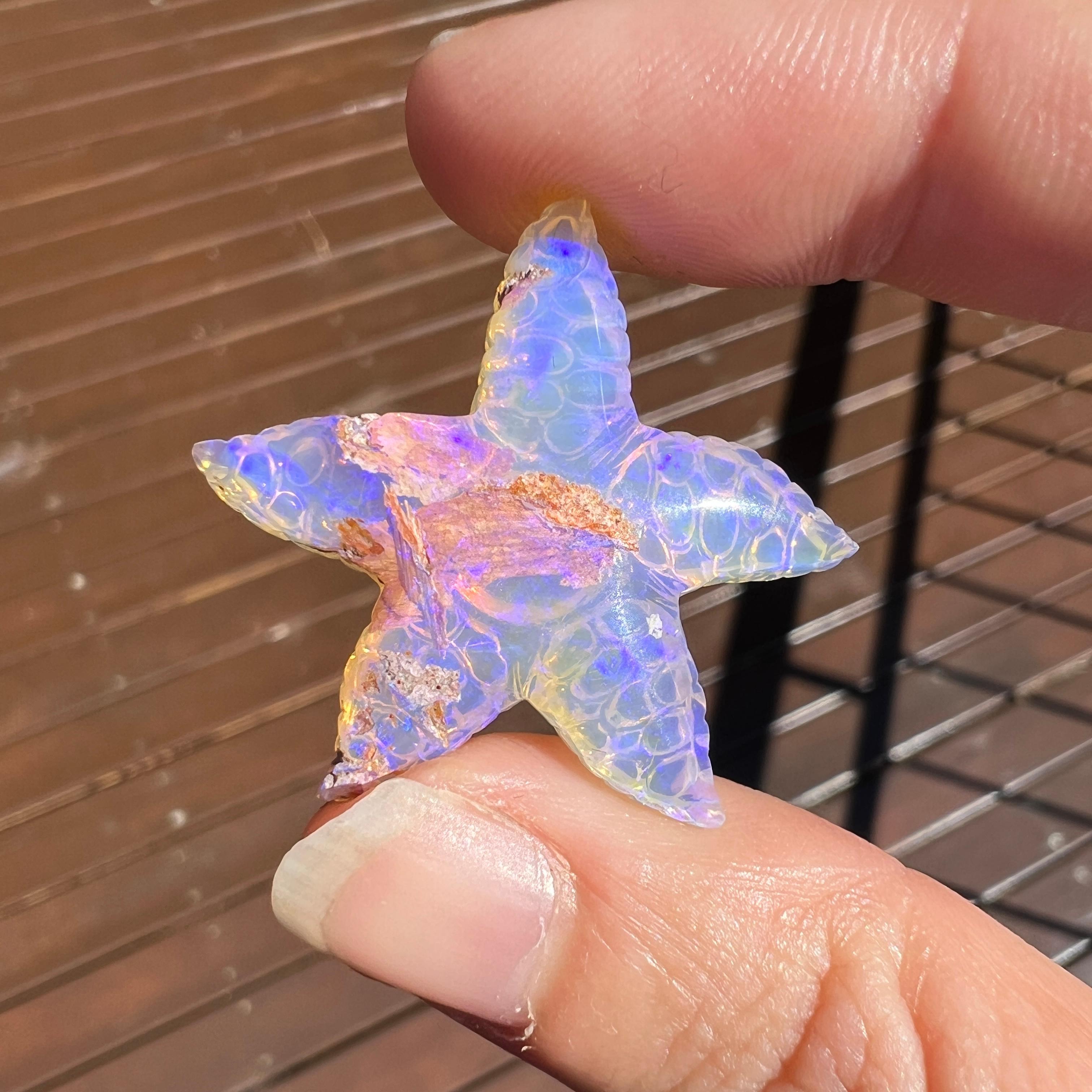 Natural solid 21.67 Ct Crystal Starfish Australian Opal mined by Sue Cooper For Sale 1