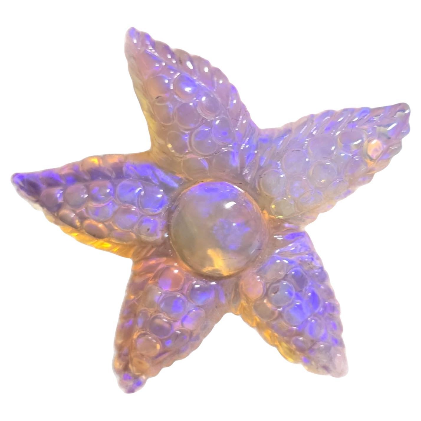 Natural solid 21.67 Ct Crystal Starfish Australian Opal mined by Sue Cooper For Sale